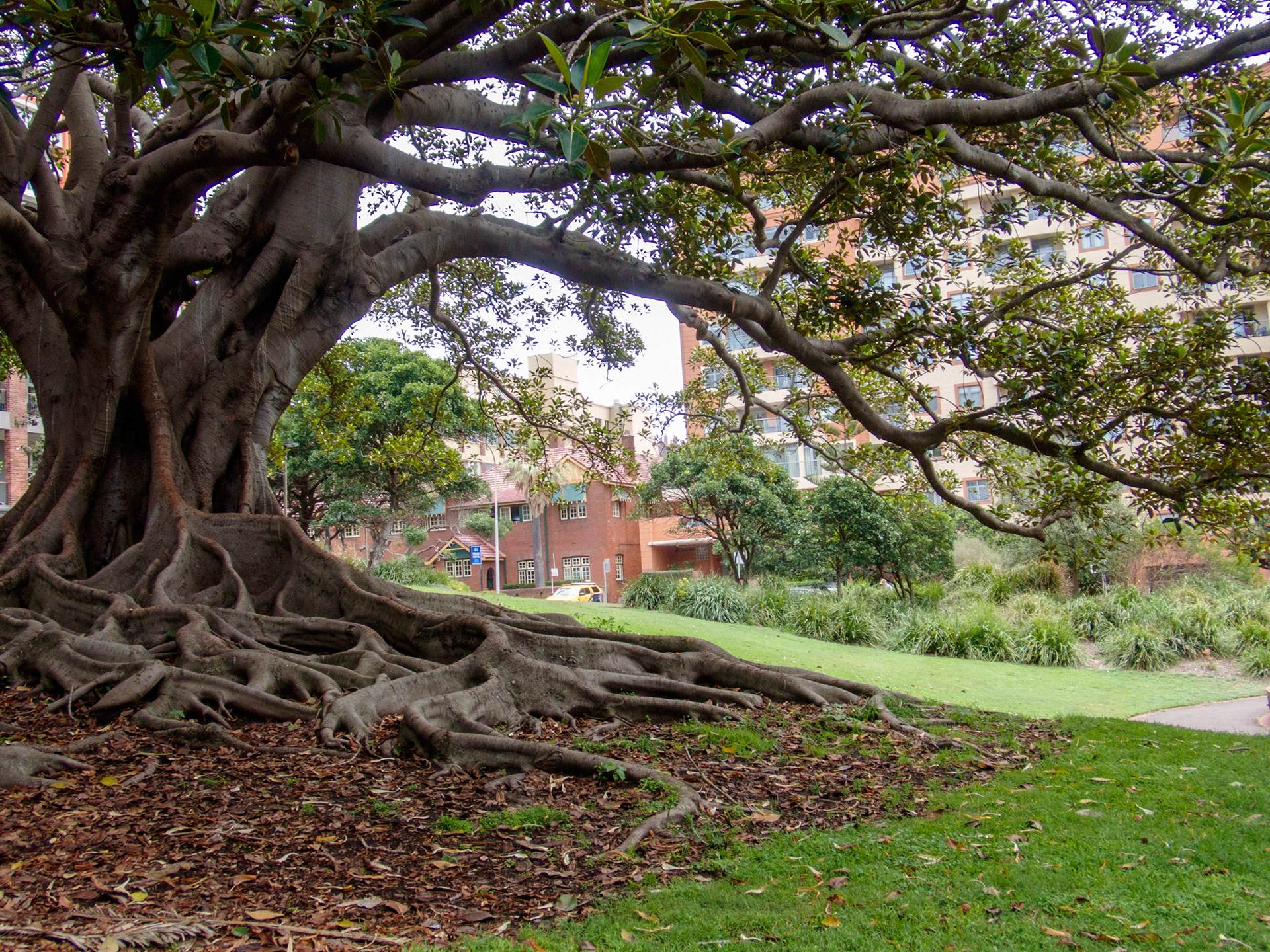In Parnell Place Park