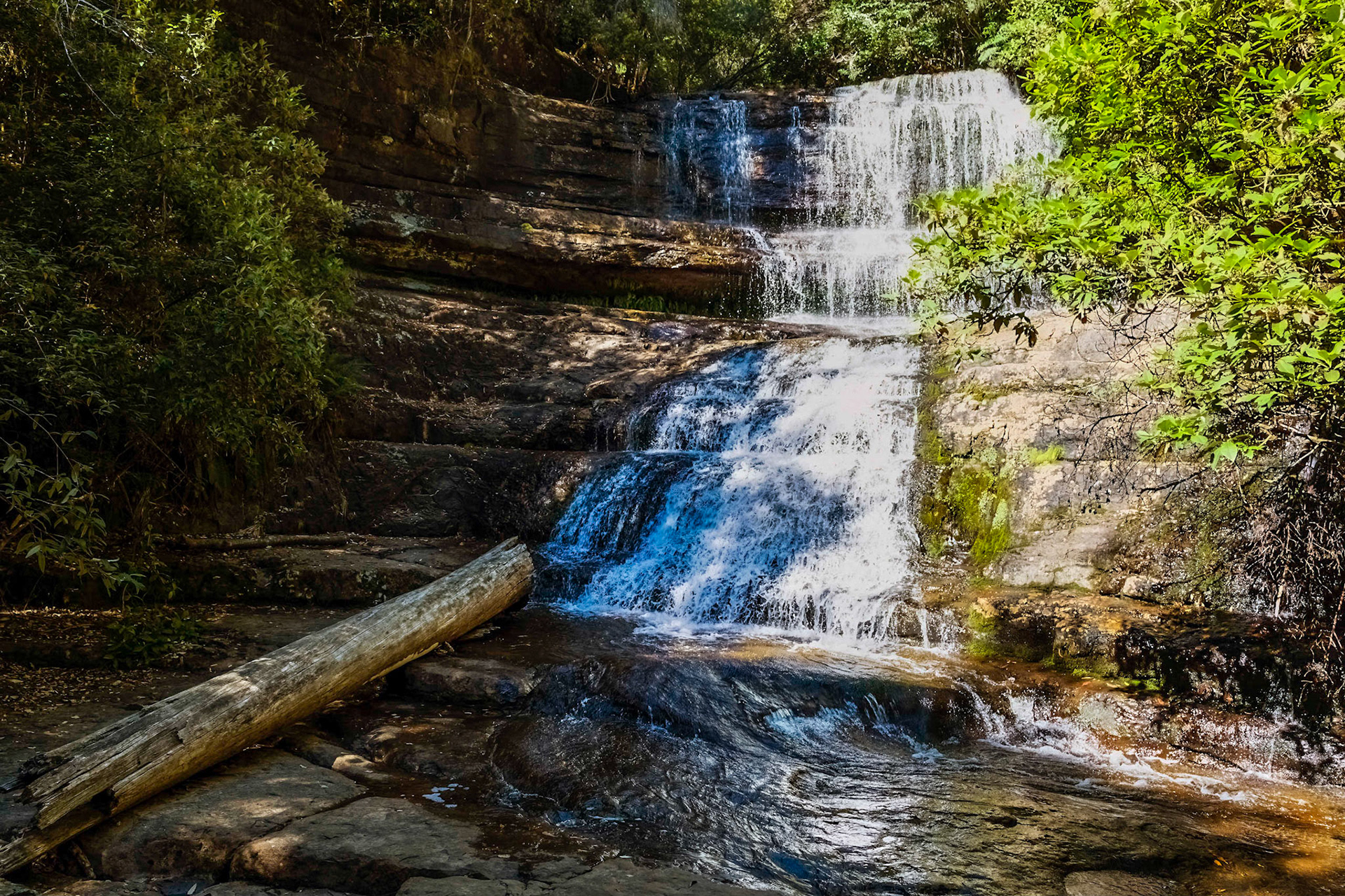 Lady Barron Falls - Mount Field National Park