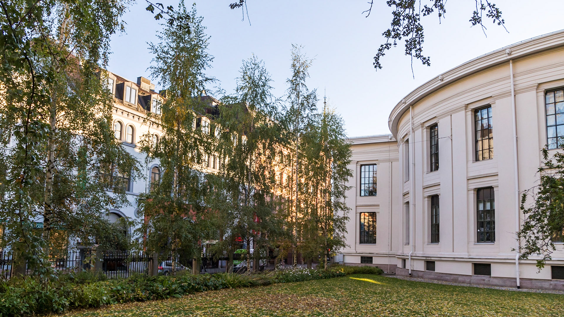 In the university grounds