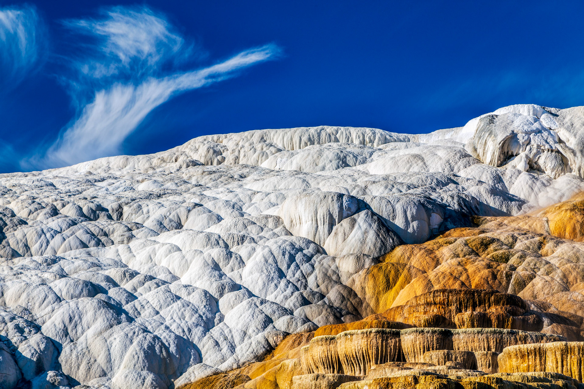 Upper Terraces, Mammoth Hot Springs. Yellowstone National Park, Wyoming.