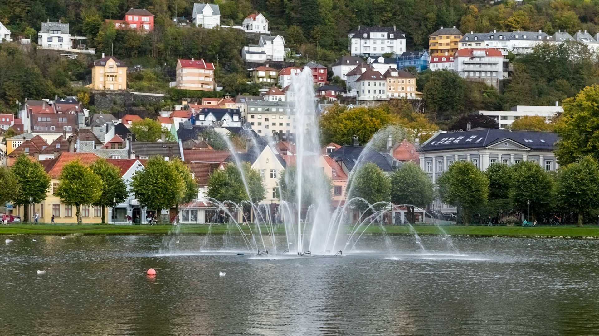 Smålungeren, small natural lake in the centre of Bergen.