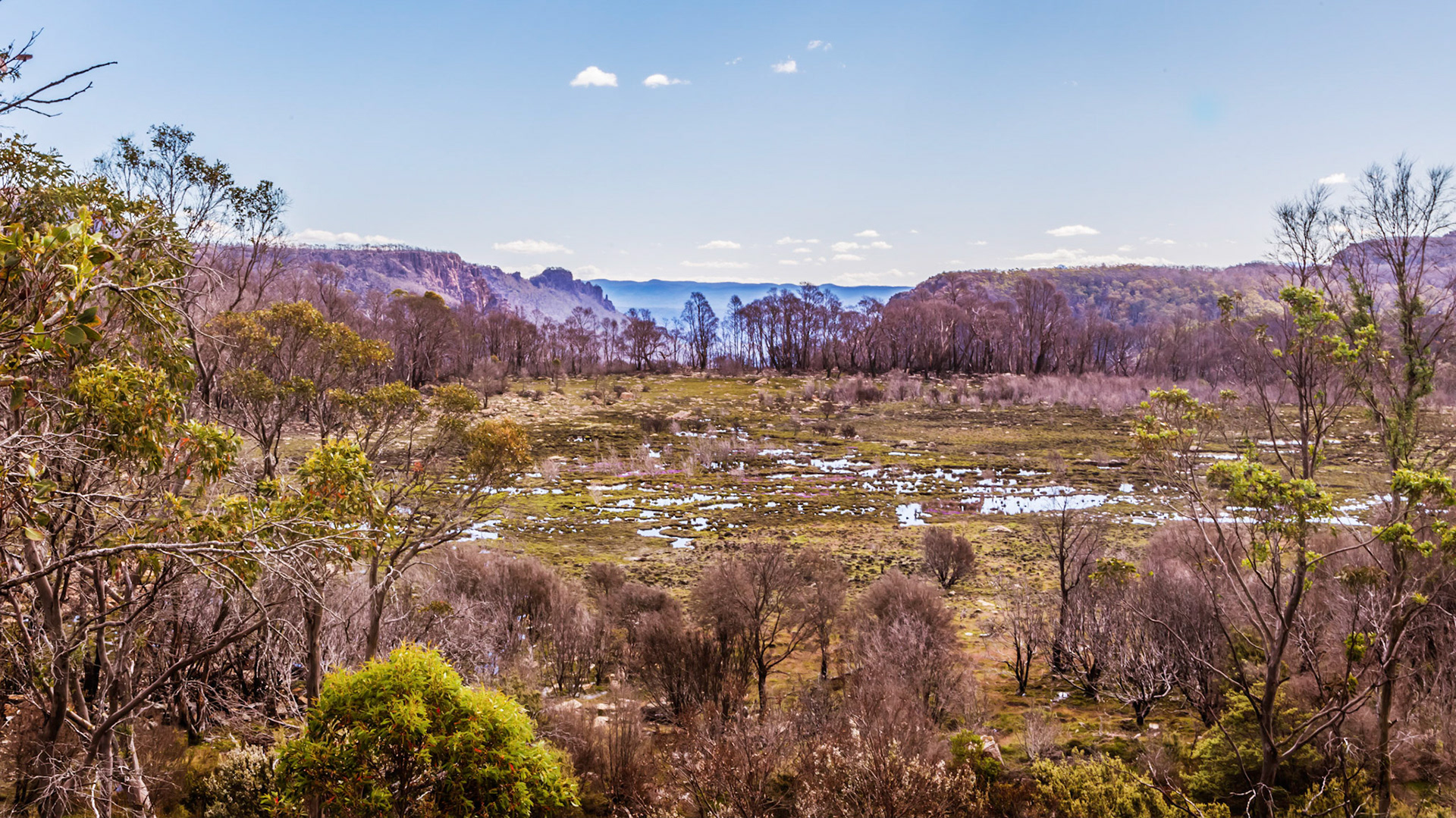 Along Lake MacKenzie Road
