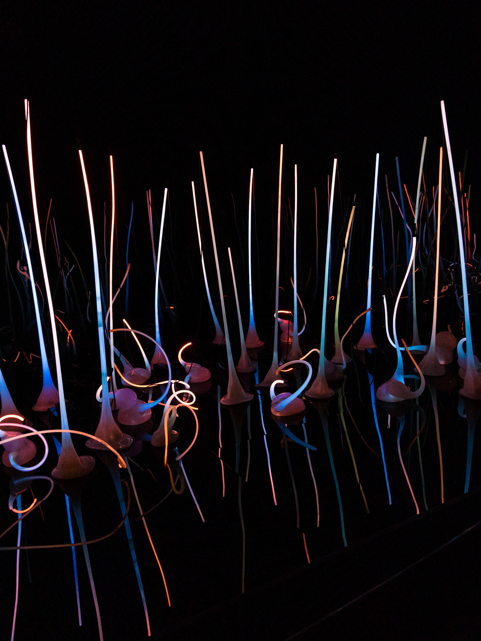 Glass Forest; Chihuly Garden & Glass