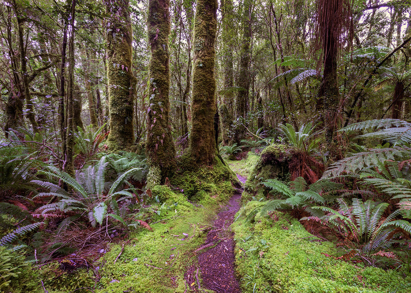 Tutoko Valley River Hike