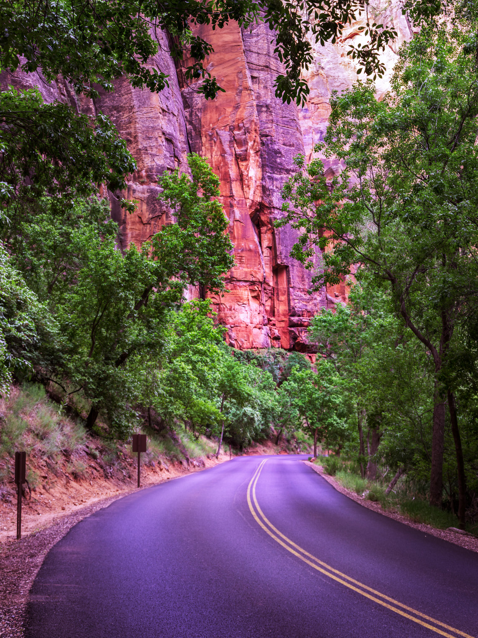 Zion Canyon Scenic Drive
