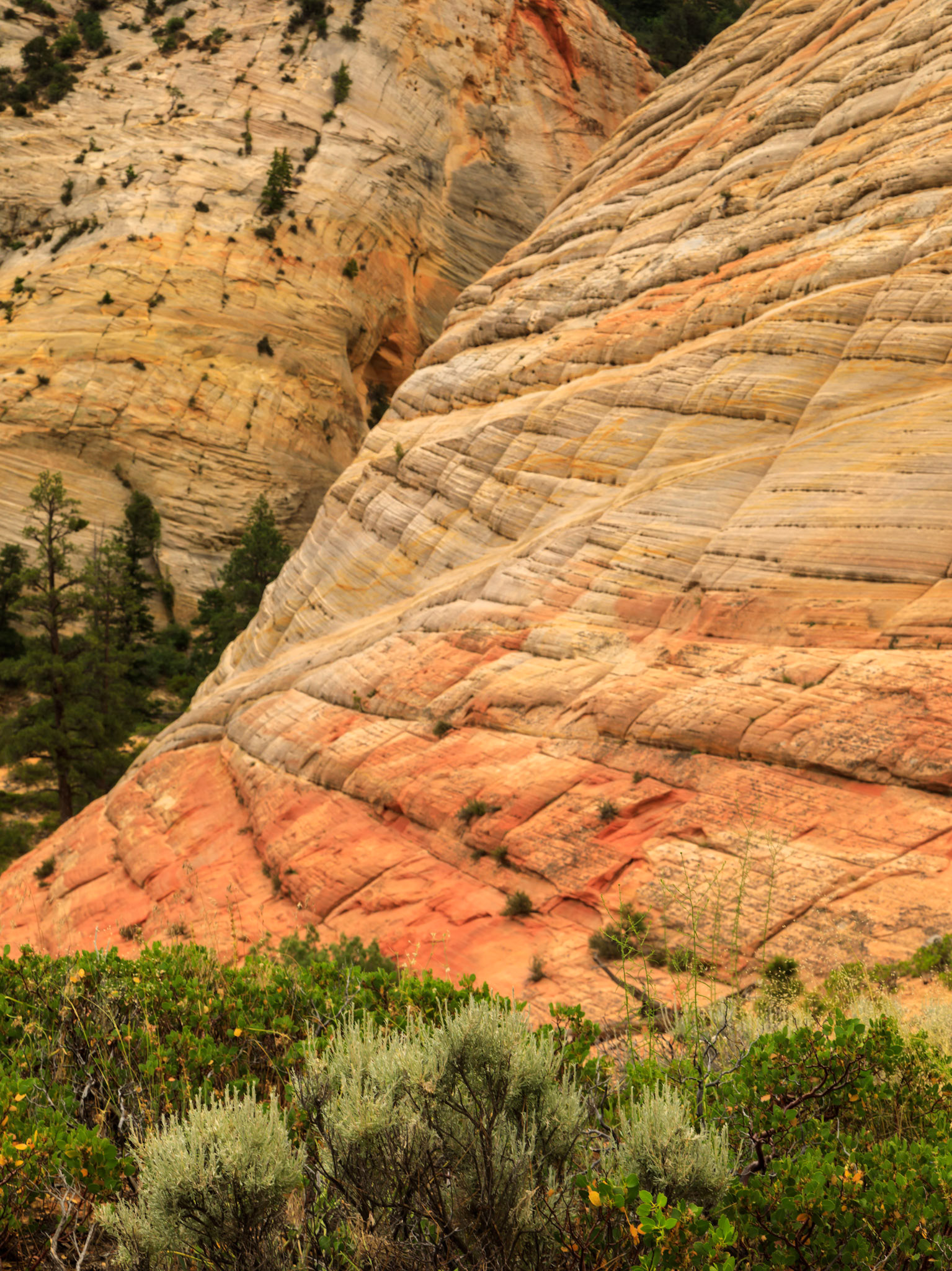 Side detail on Checkerboard Mesa