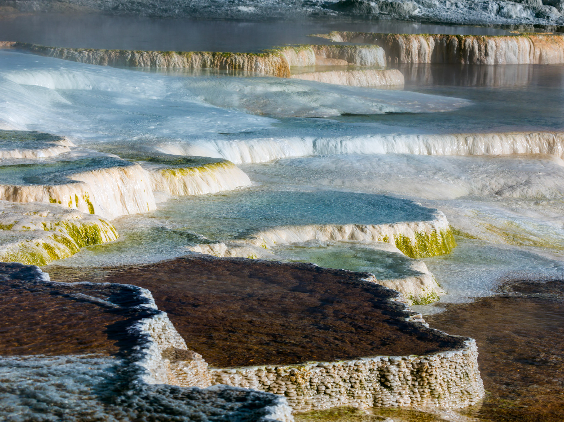 Lower Terraces, Mammoth Hot Springs. Yellowstone National Park, Wyoming.