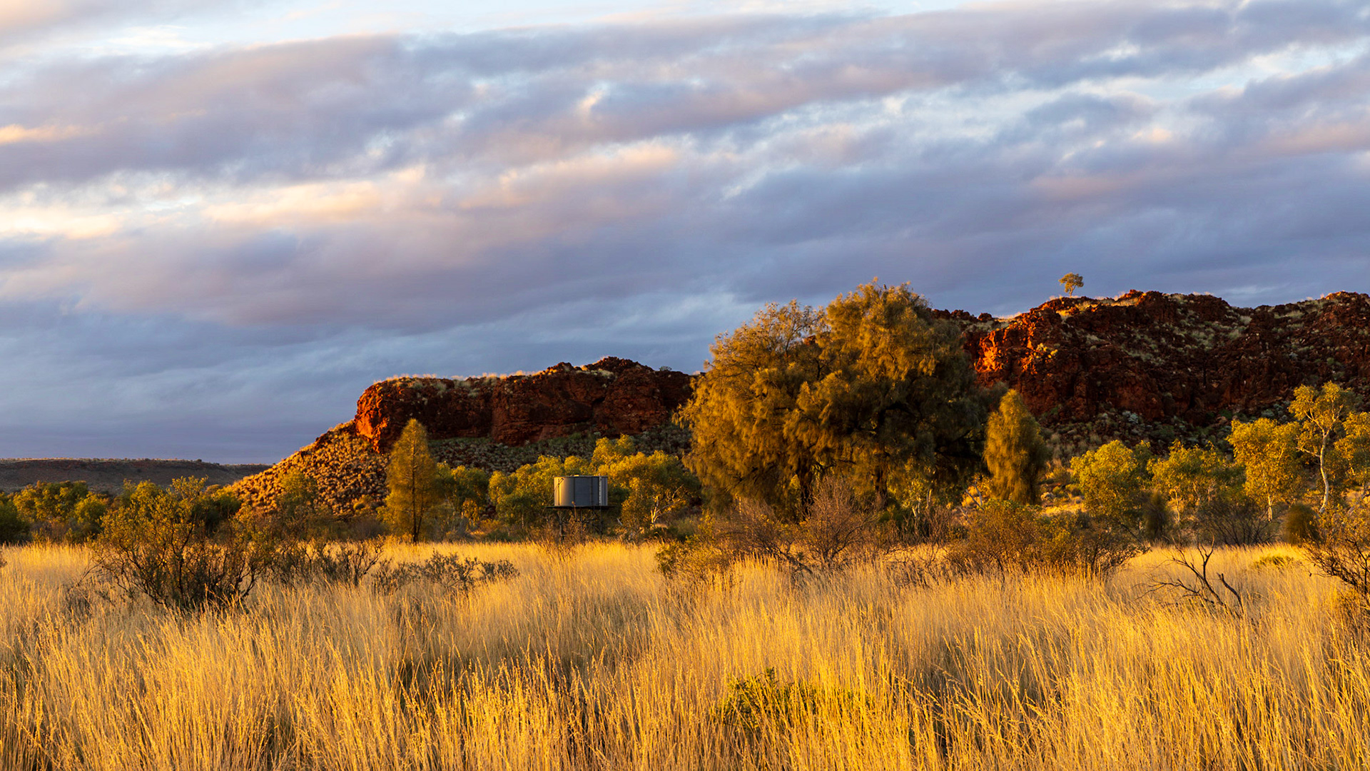 Amongst the Dovers Hills