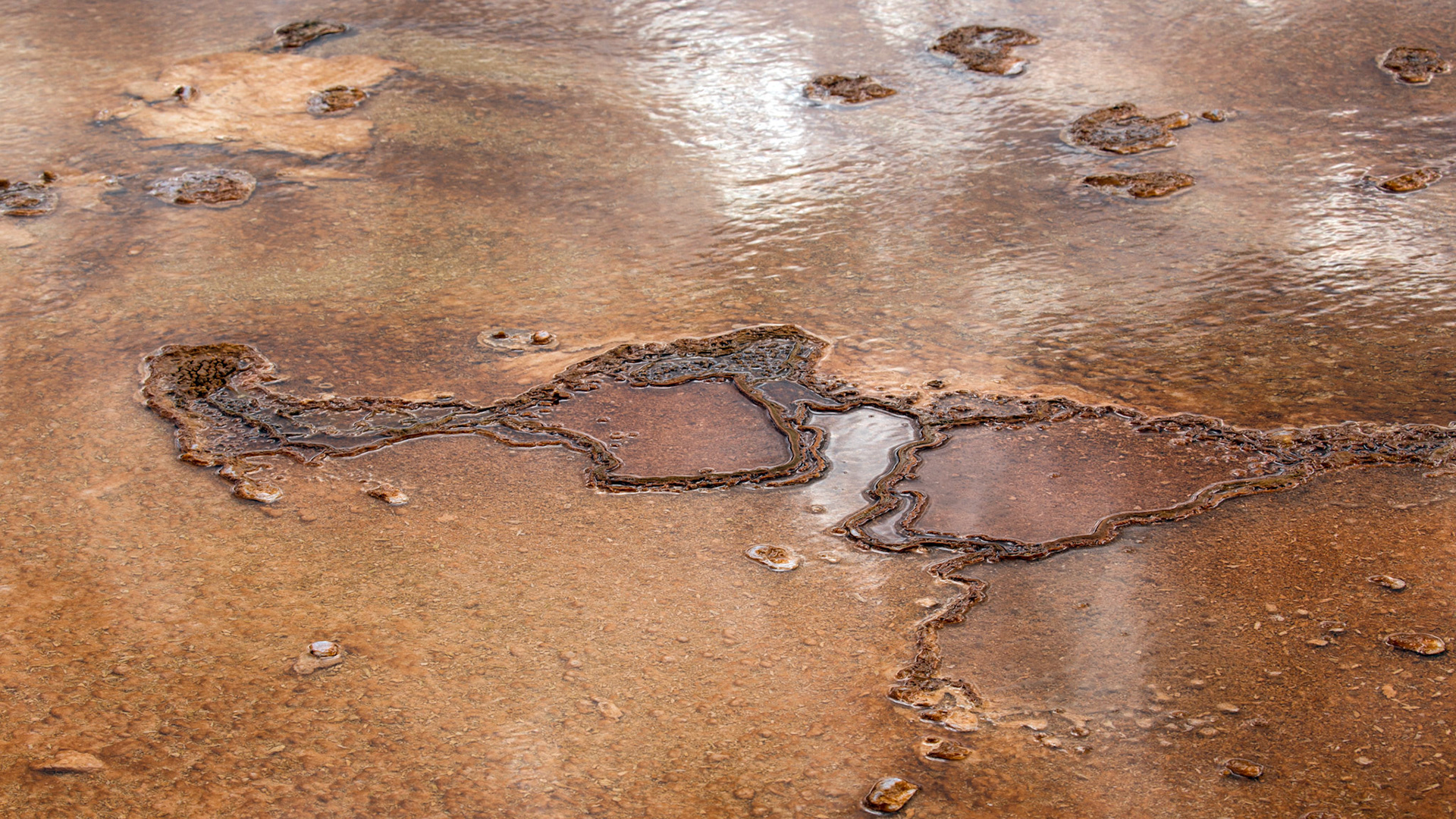 Midway Geyser Basin, Yellowstone National Park, Wyoming.