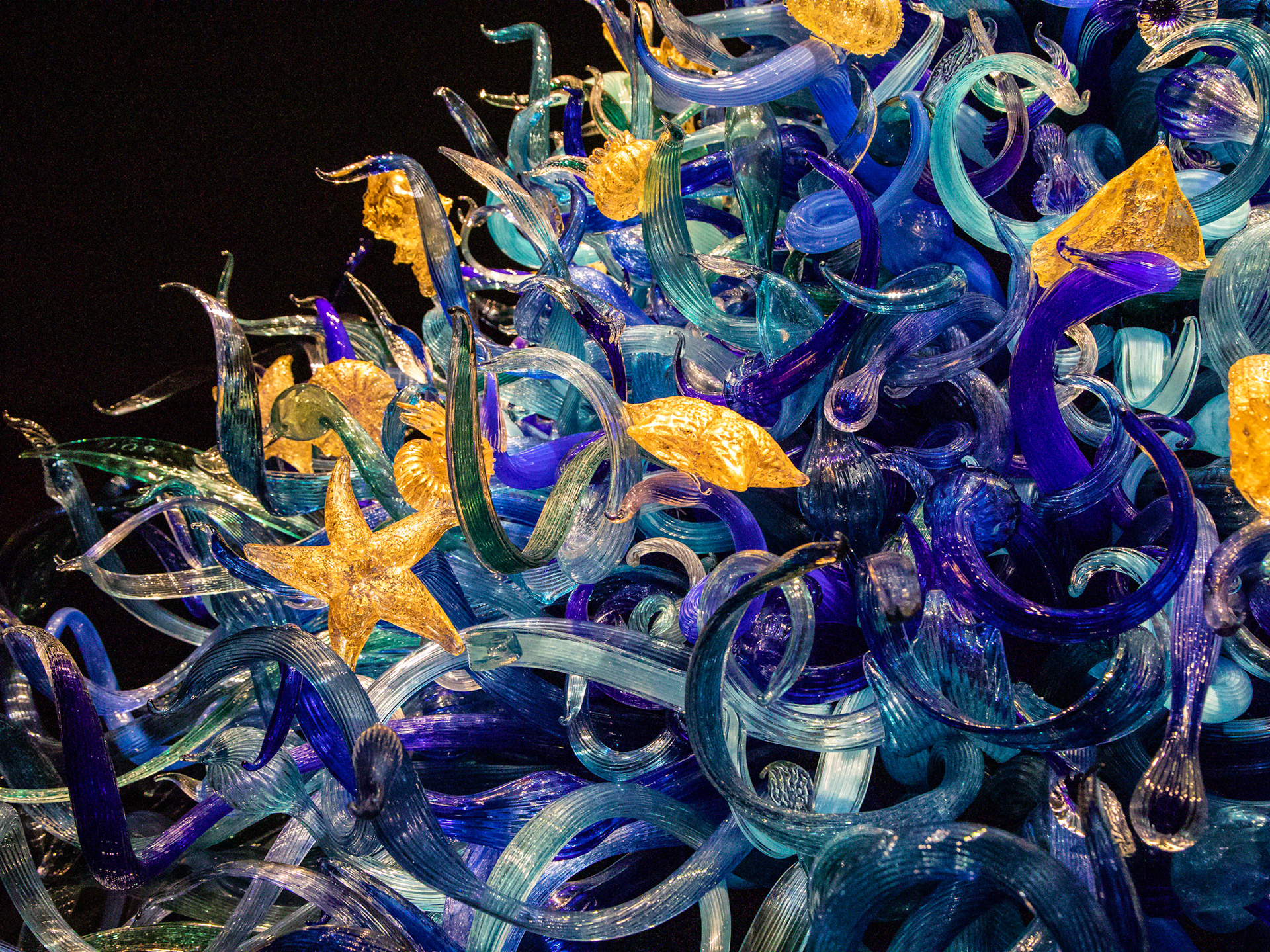 Sealife Room; Chihuly Garden & Glass