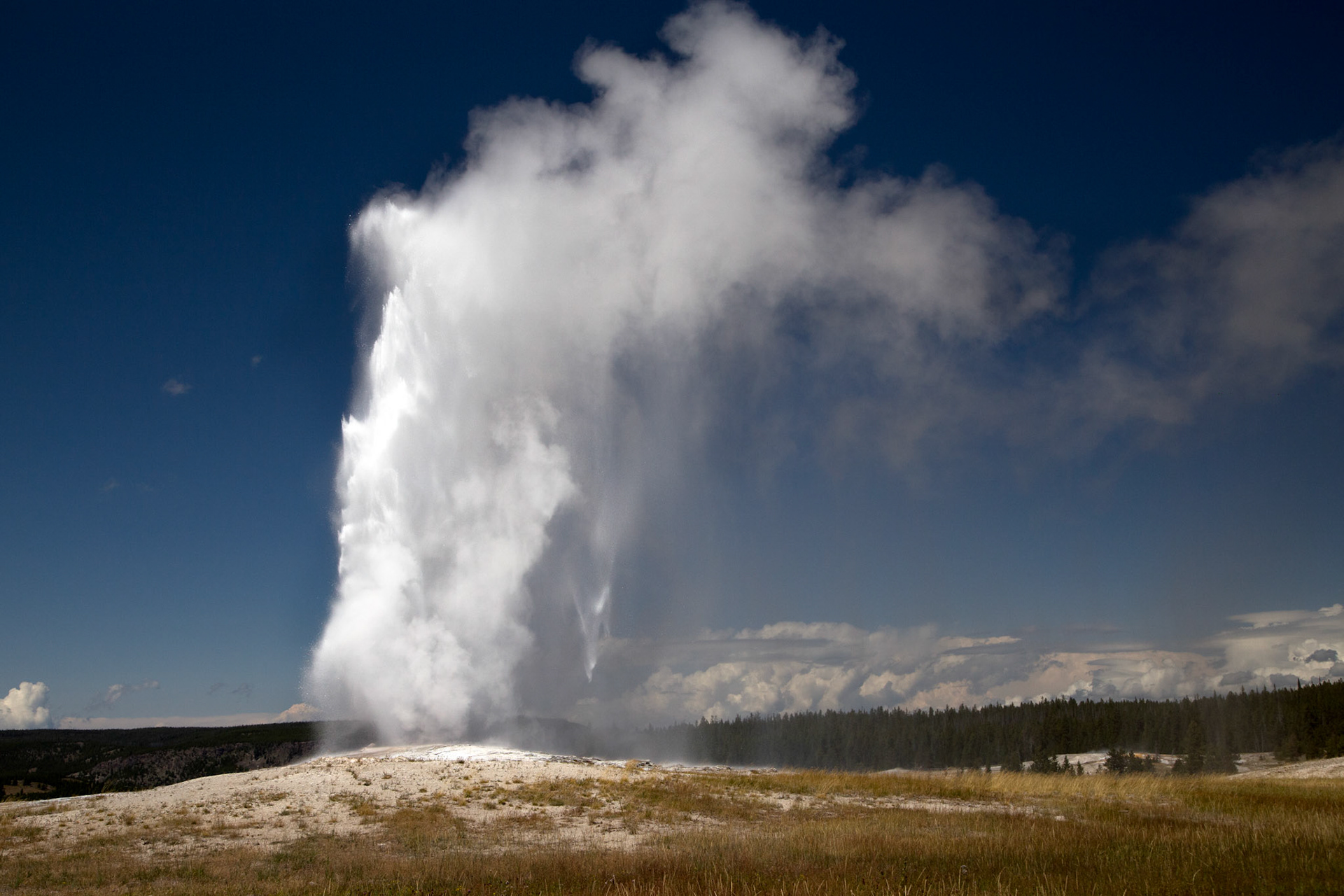 'Old Faithful' Geyser. Legendary geyser erupting on schedule. Yellowstone National Park, Wyoming.