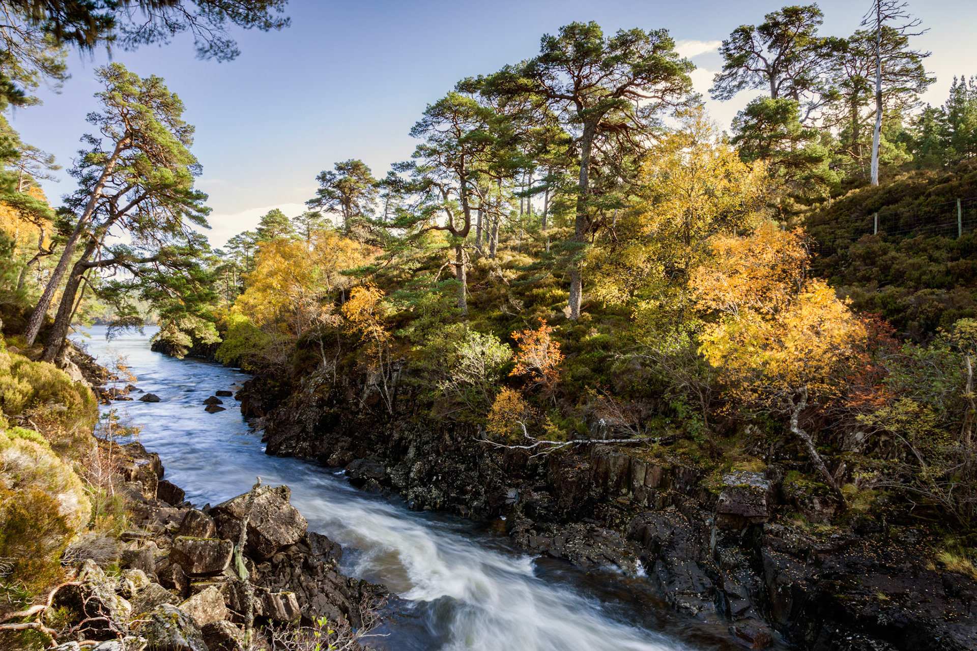 River Affric in Glen Affric, Highlands