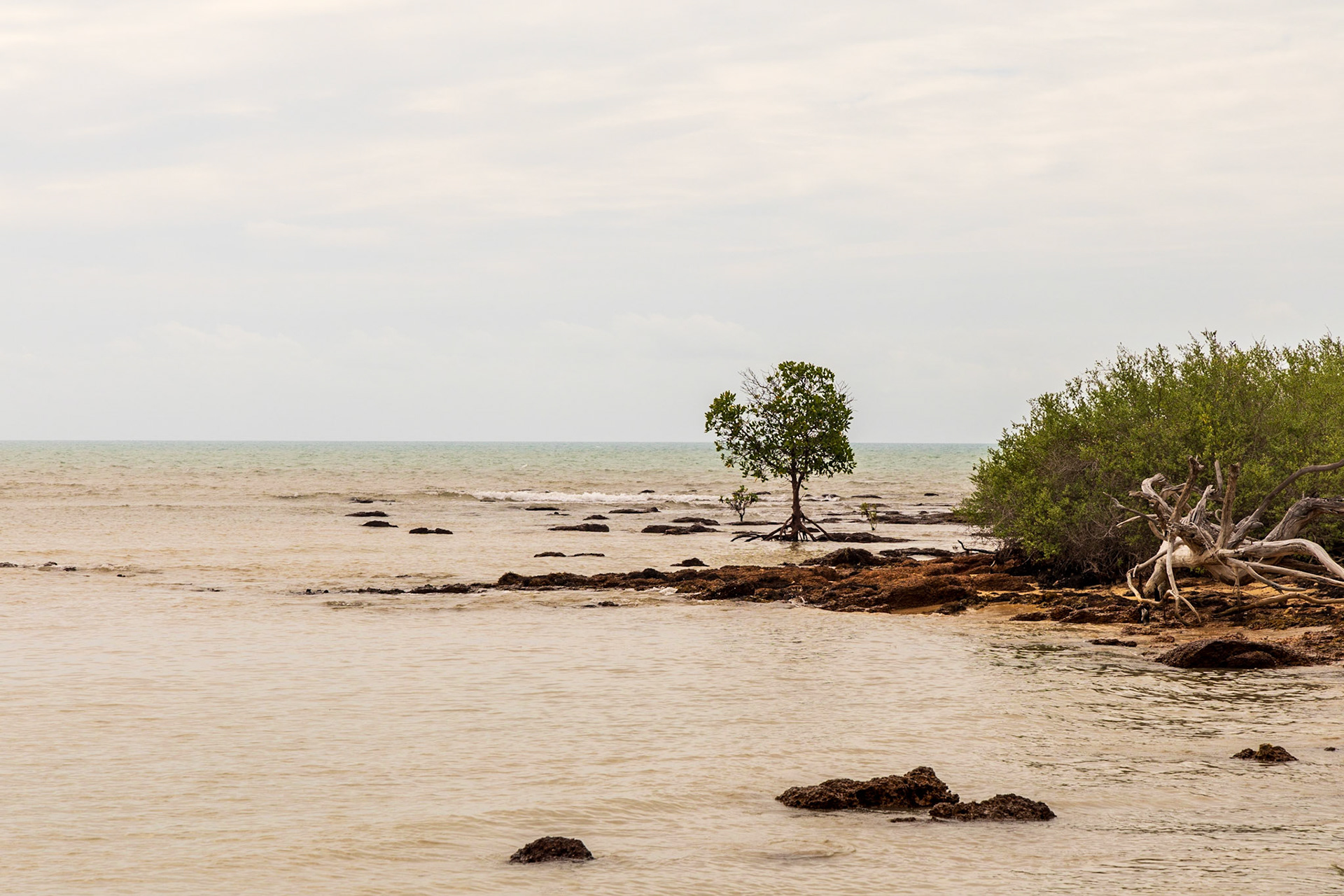 Stewart Point, Coastal Drive