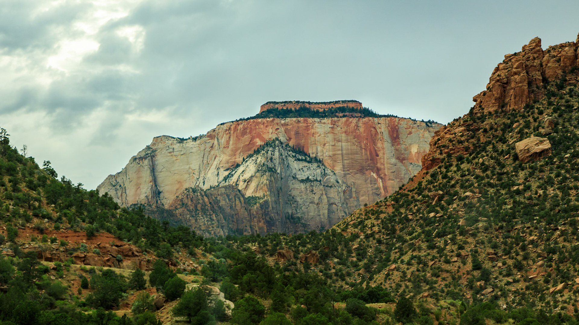 Along the Zion - Mt Carmel Highway