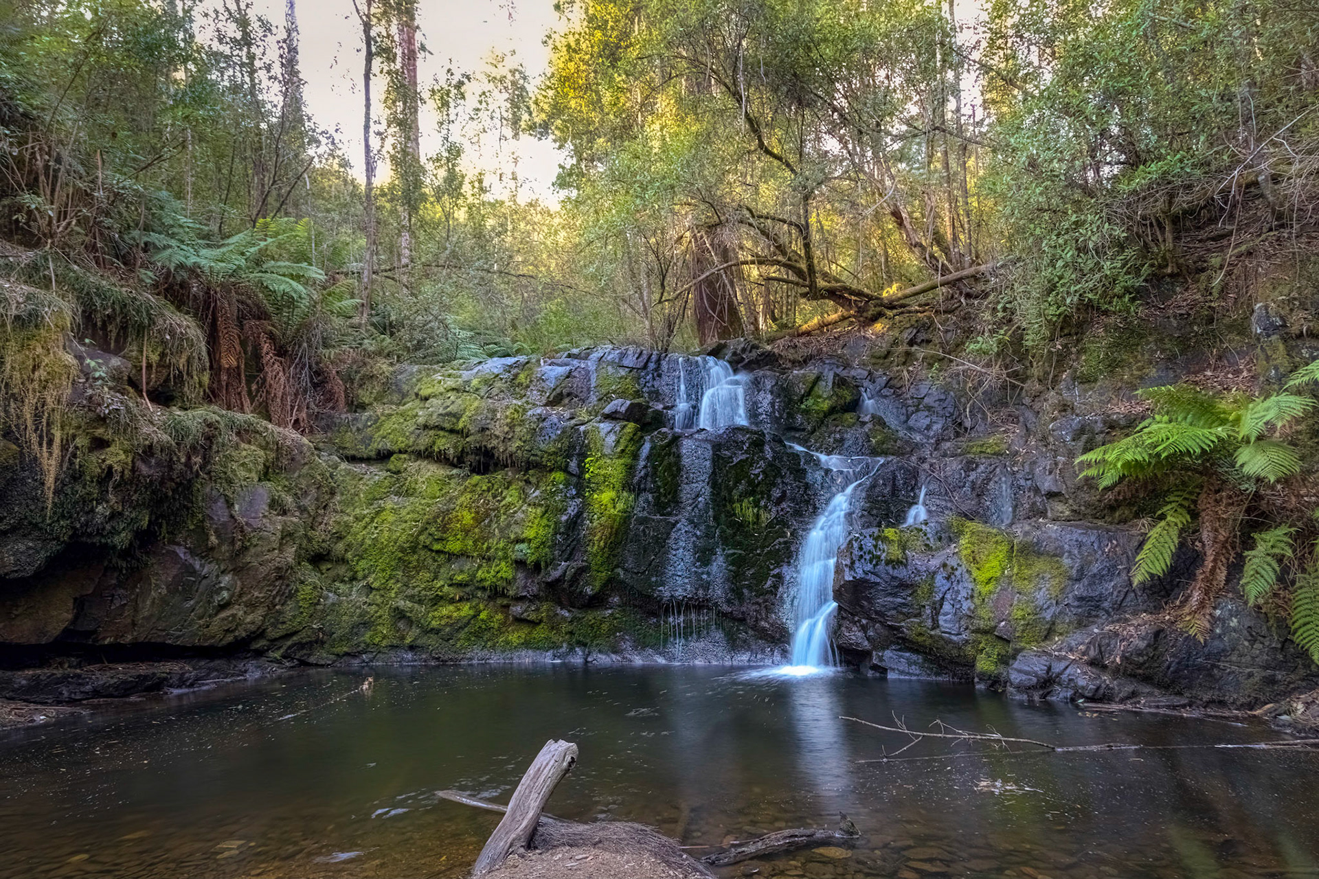 Lilydale Falls: Upper Falls