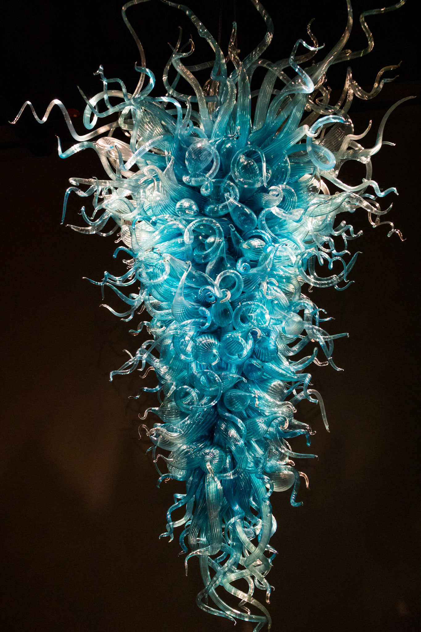 Chandeliers; Chihuly Garden & Glass