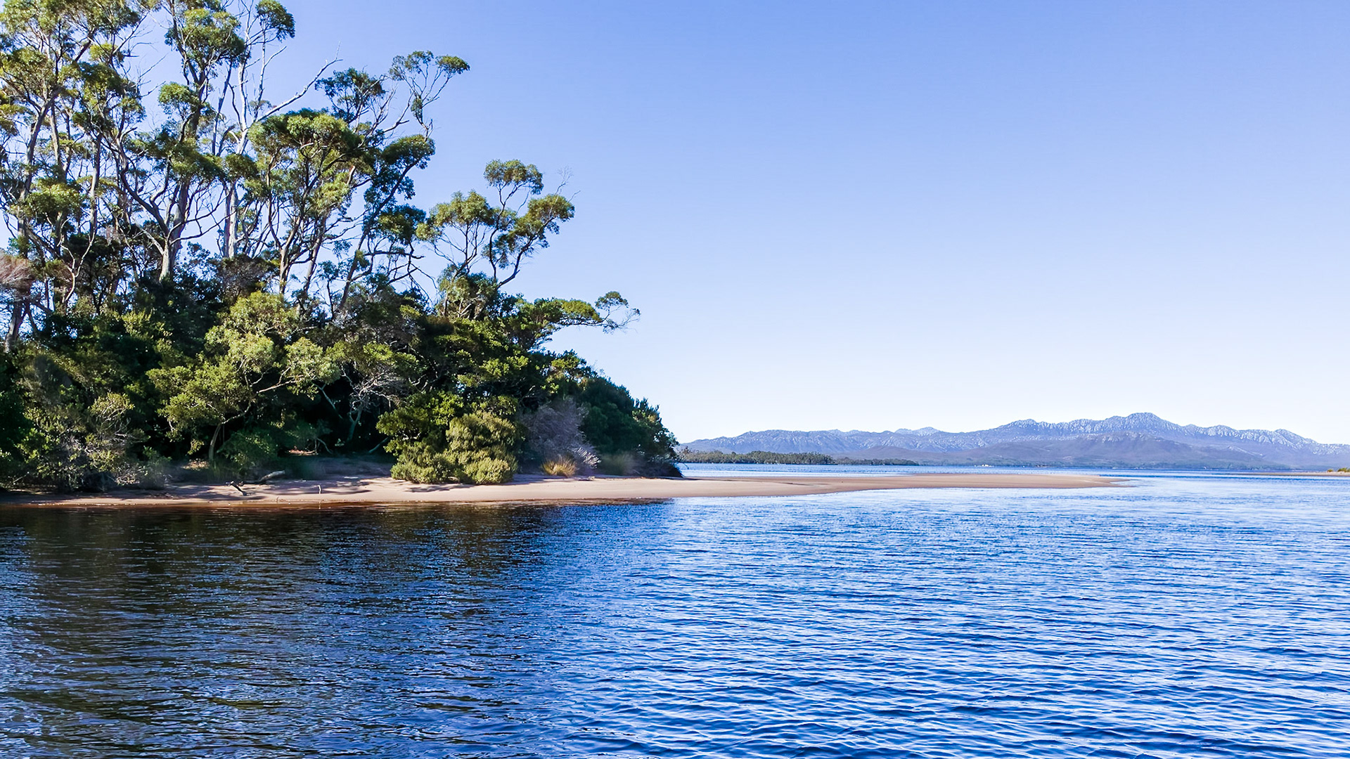 Settlement Point, Davey River.