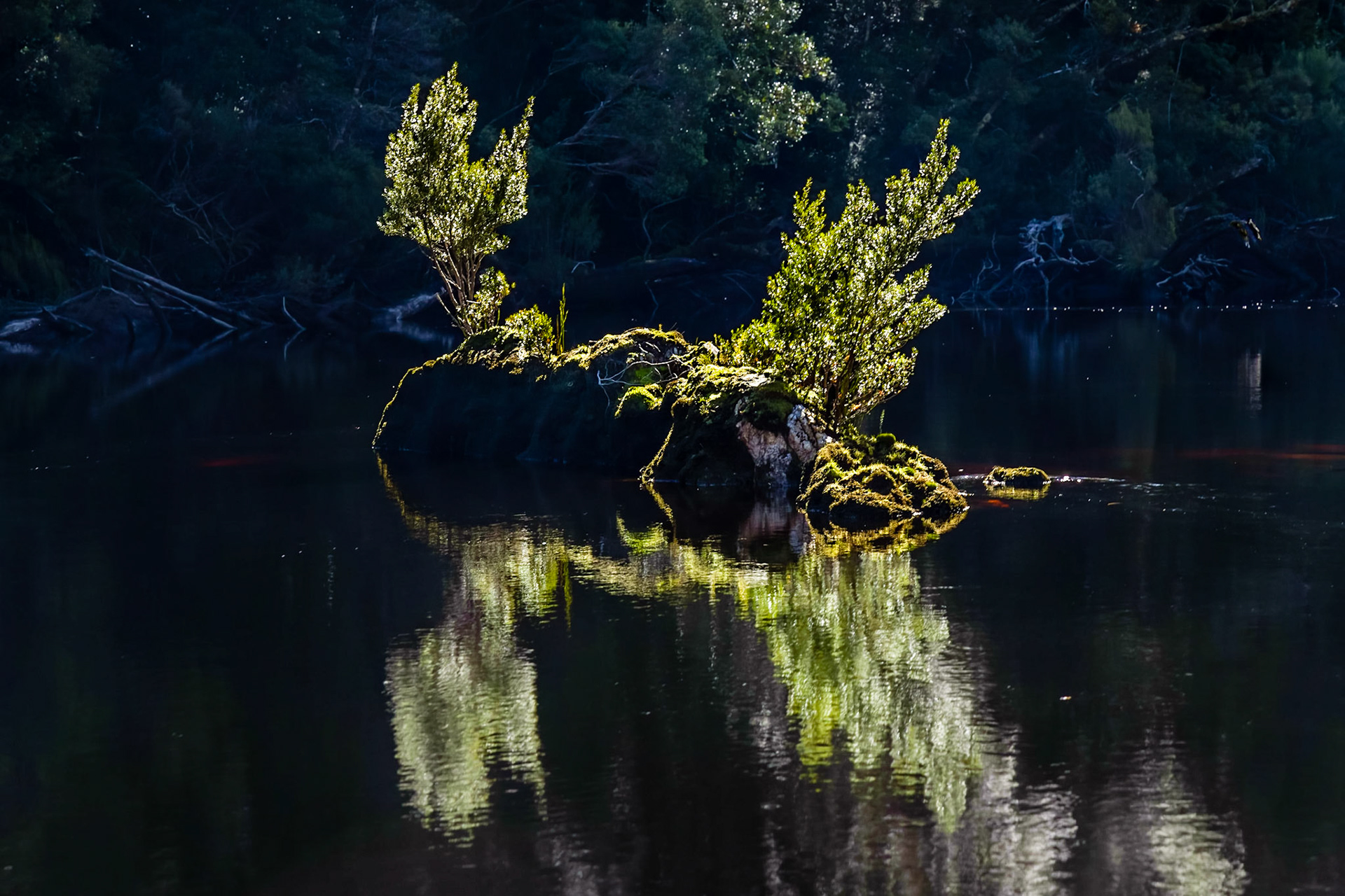 In the Davey River Gorge.