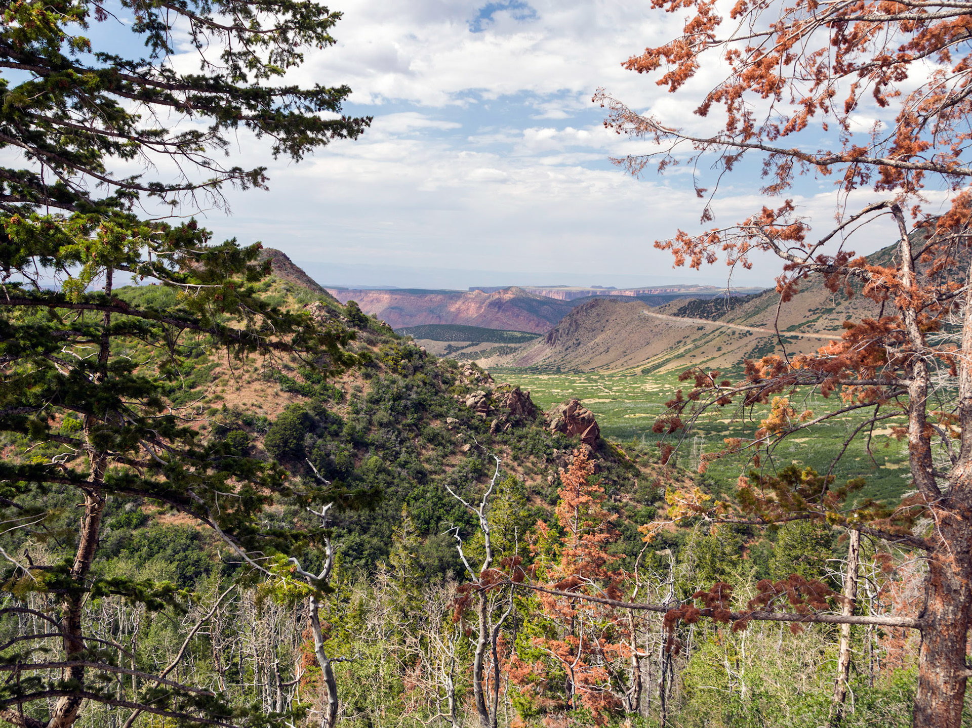 On La Sal Loop Road, up from Spanish Valley
