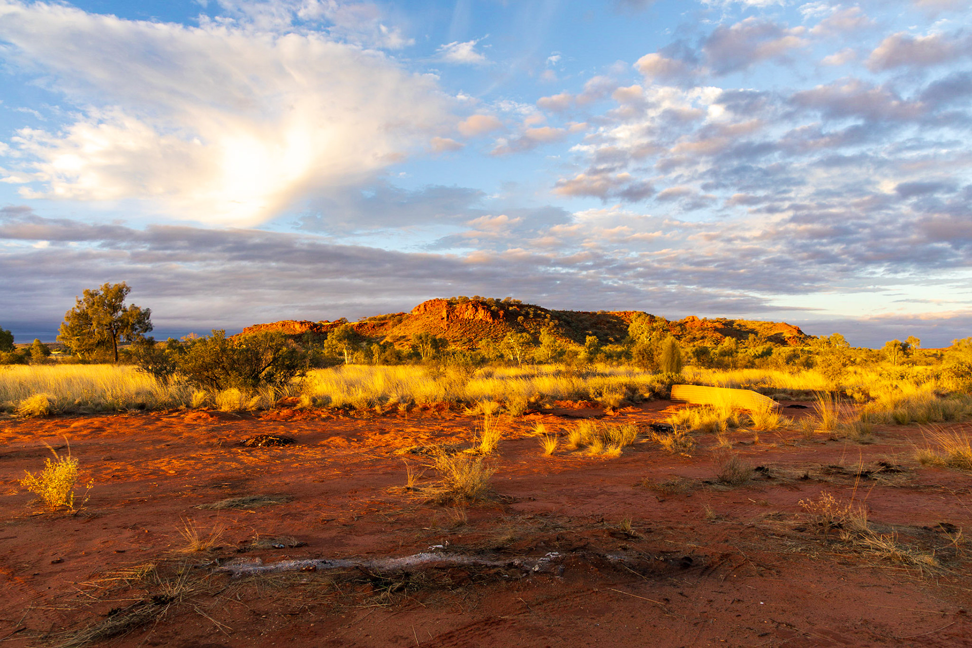 Amongst the Dovers Hills