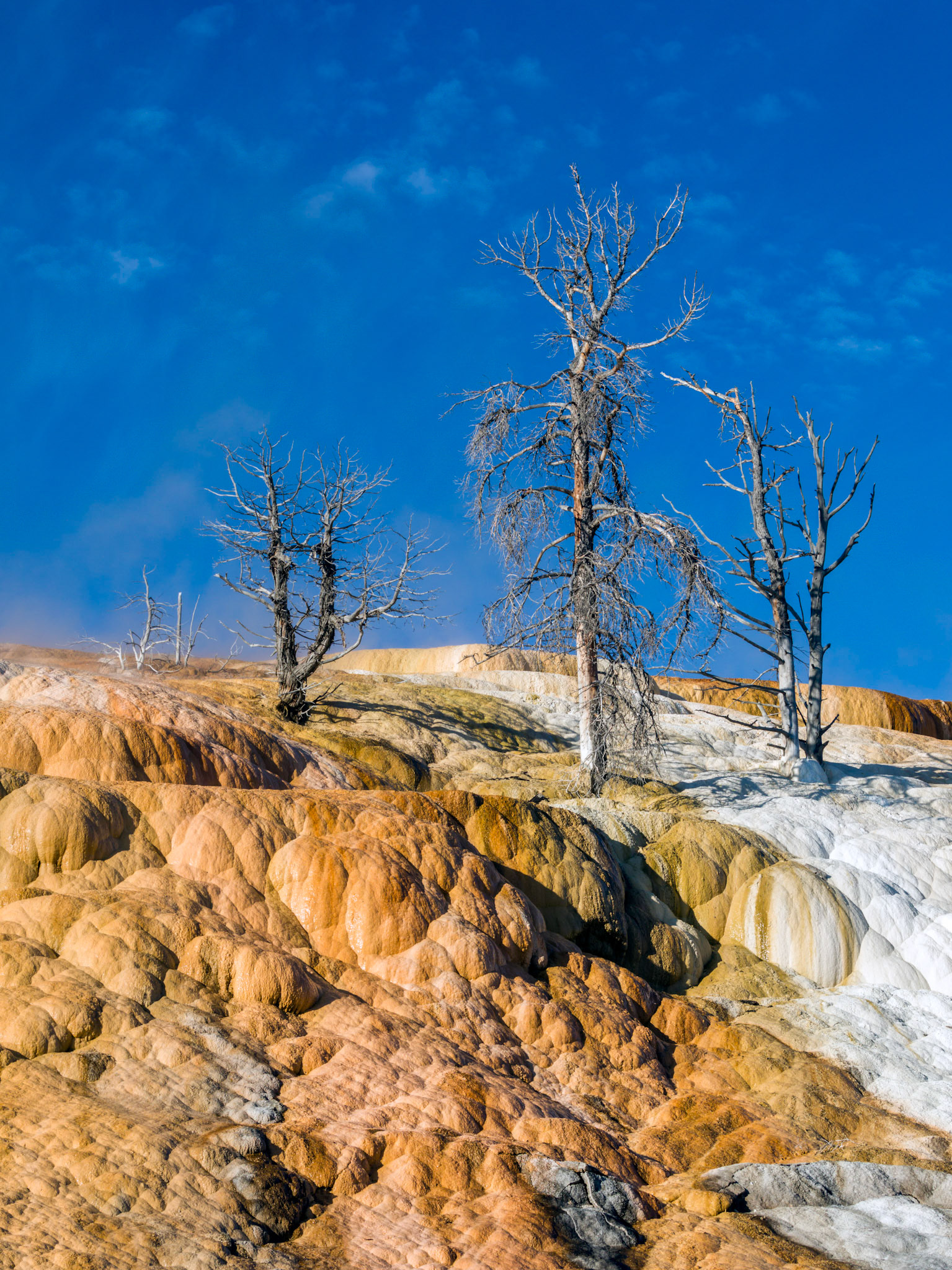 Upper Terraces, Mammoth Hot Springs. Yellowstone National Park, Wyoming.