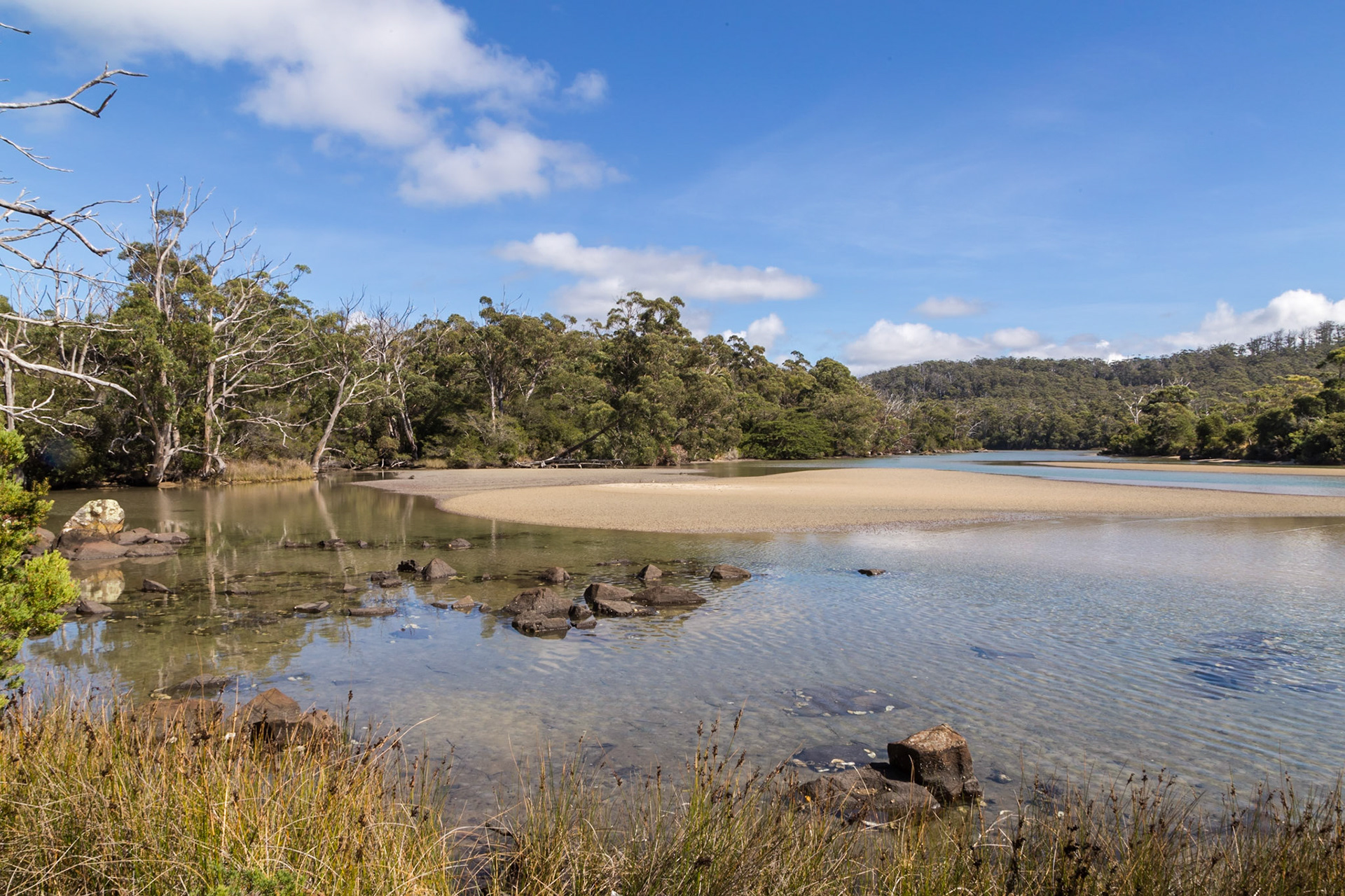 Cockle Creek. Southwest National Park