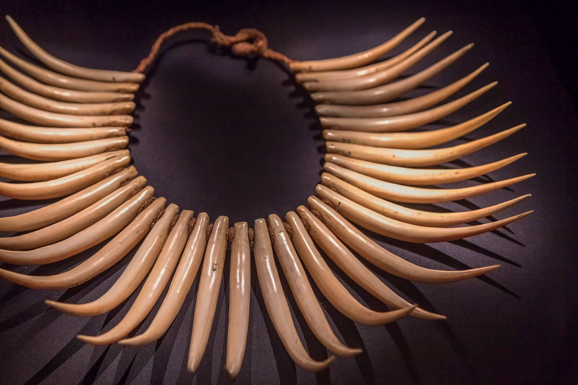 Wasekaseka - Neck Ornament, Fiji, 19th century. Split and polished sperm whale teeth.