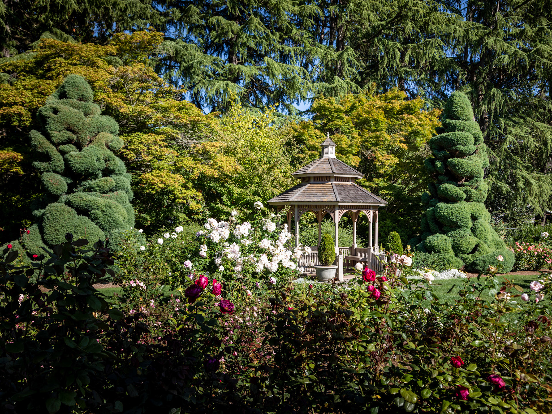 Woodland Park Rose Garden