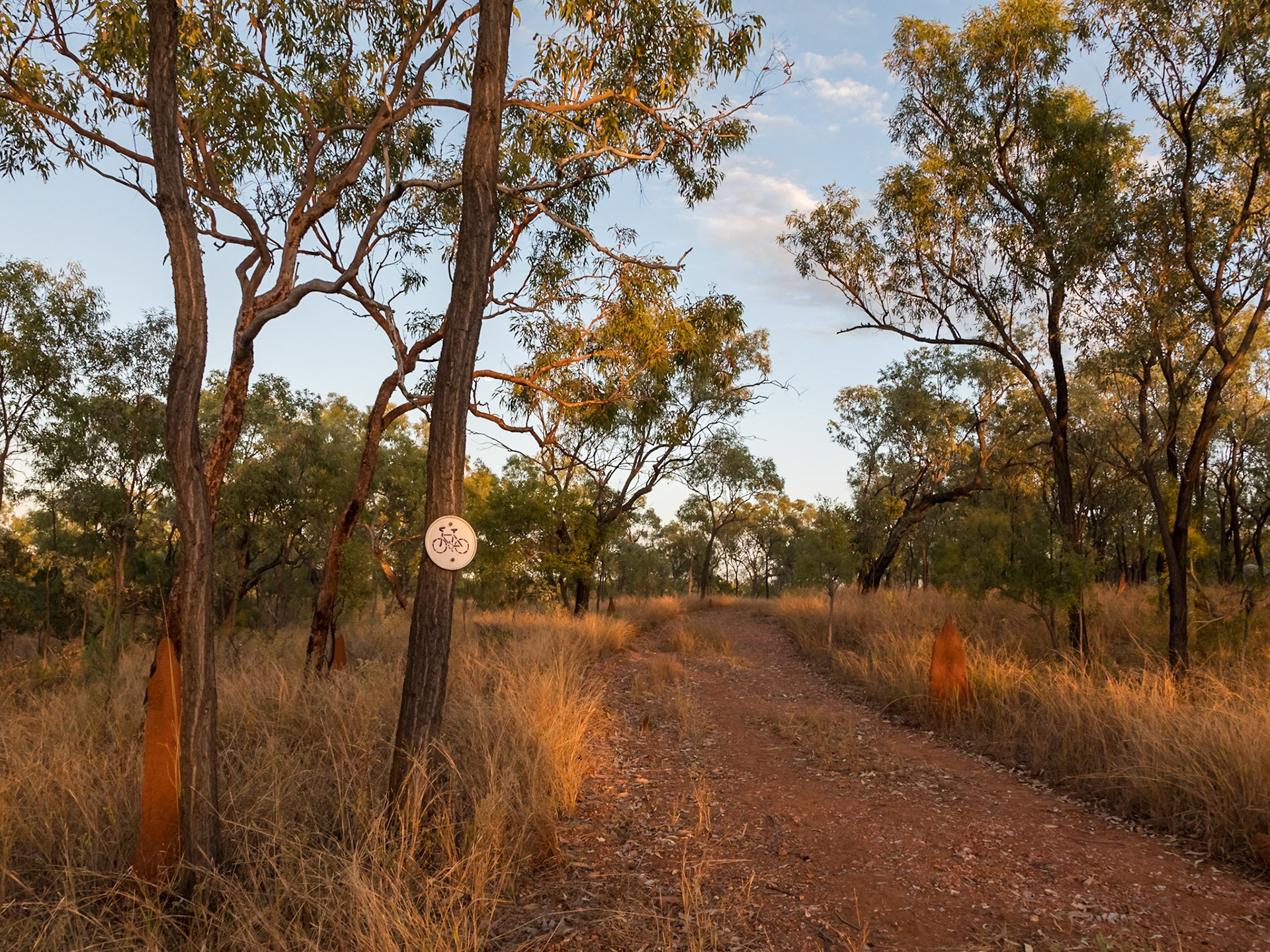 A mountain bike trail running off from the Russell's Lookout track.