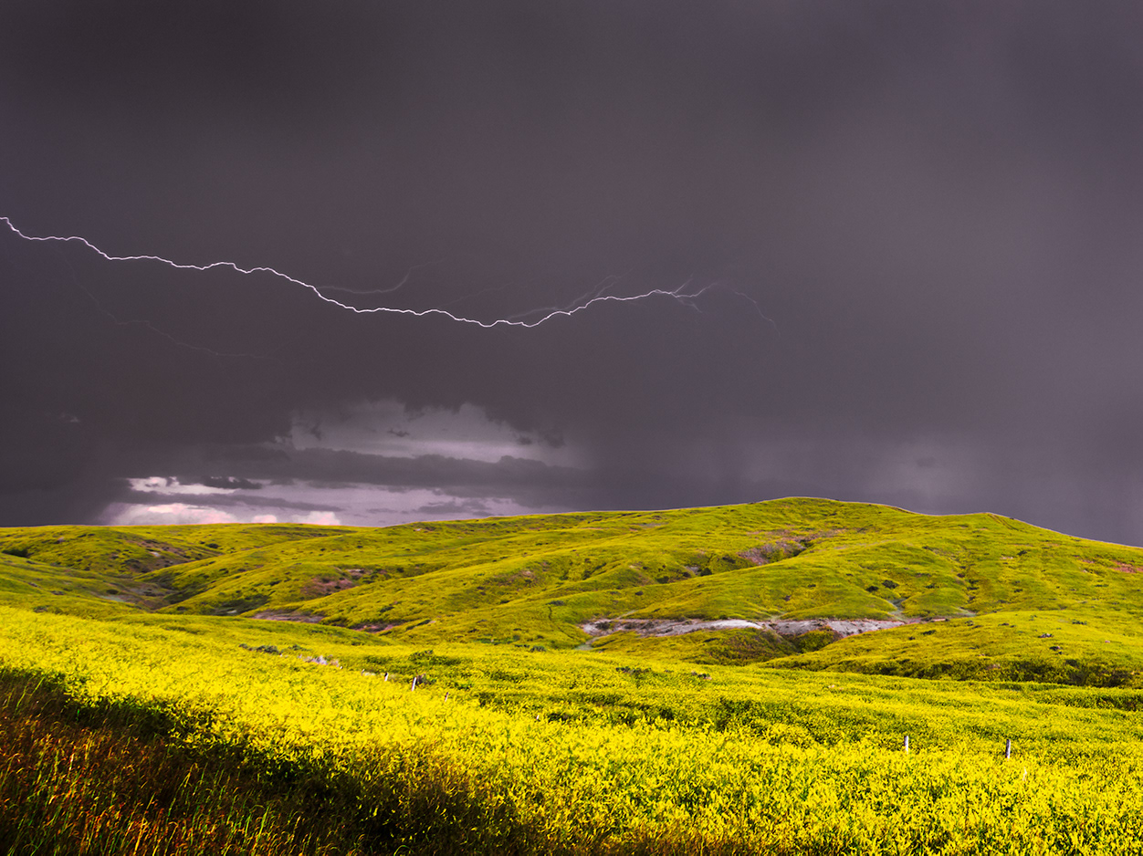 7 July 2019: near Garryowen, Montana