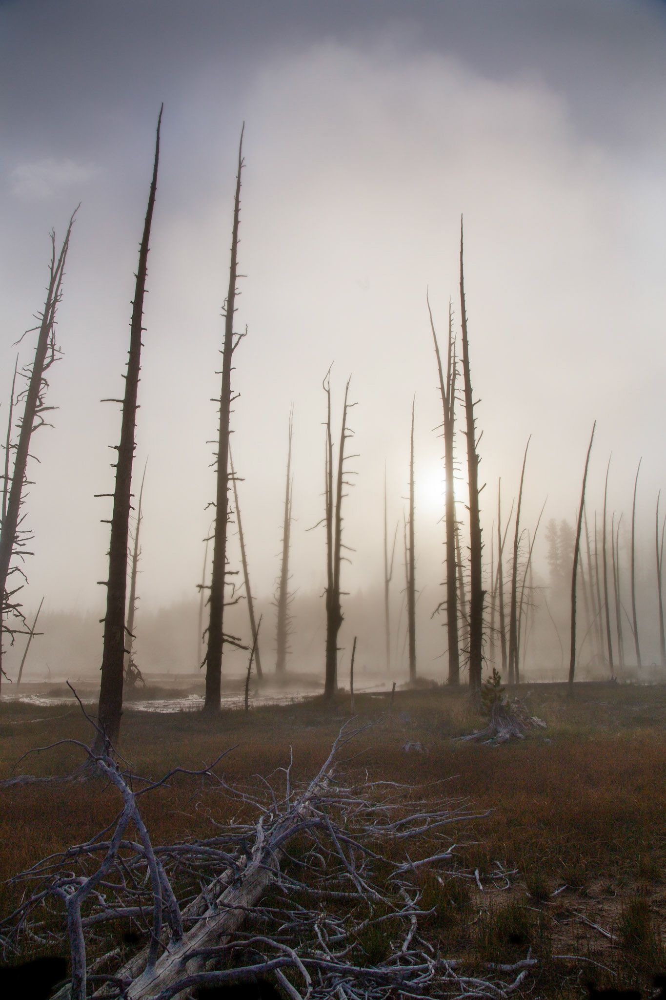 Artist Paint Pot Trail, Yellowstone National Park, Wyoming.