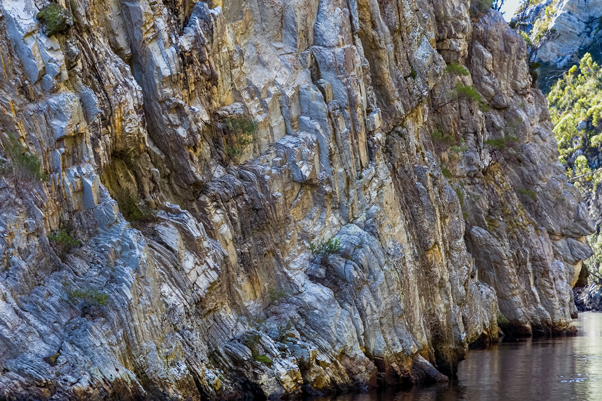 In the Davey River Gorge.