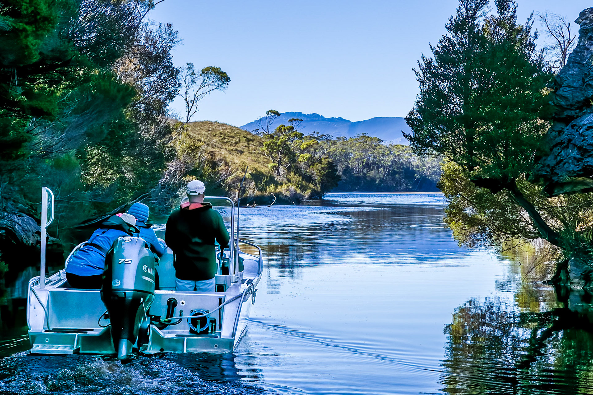 On Blackwater Creek; rejoining the Davey River.