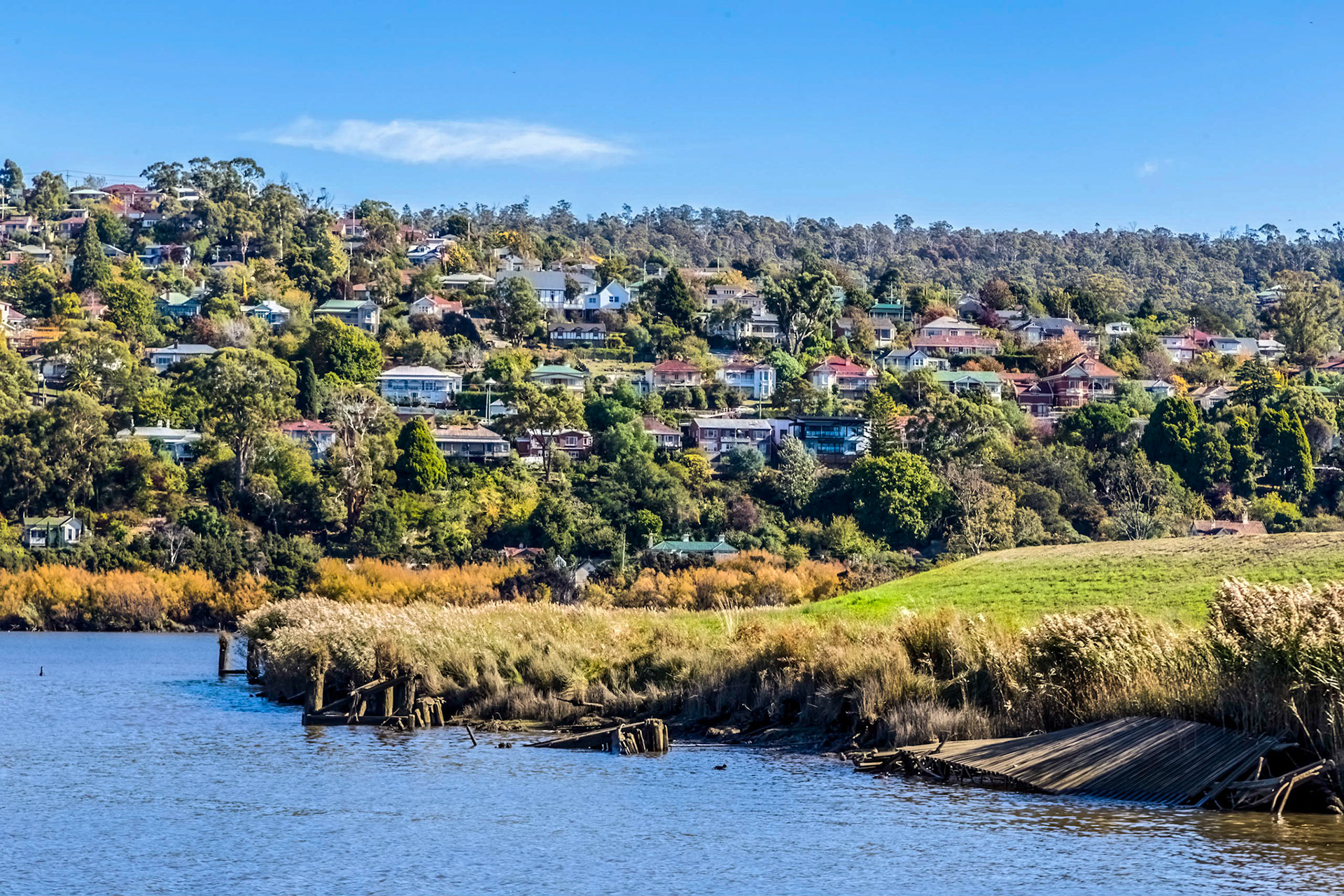 North Esk River. 'Tamar Odyssey' river cruise