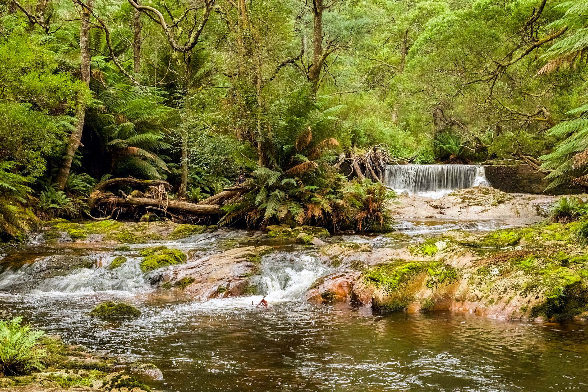 The Weir, Groom River