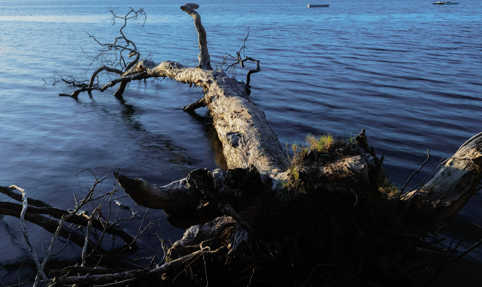 After the sunrise, Lake Weyba, Noosa