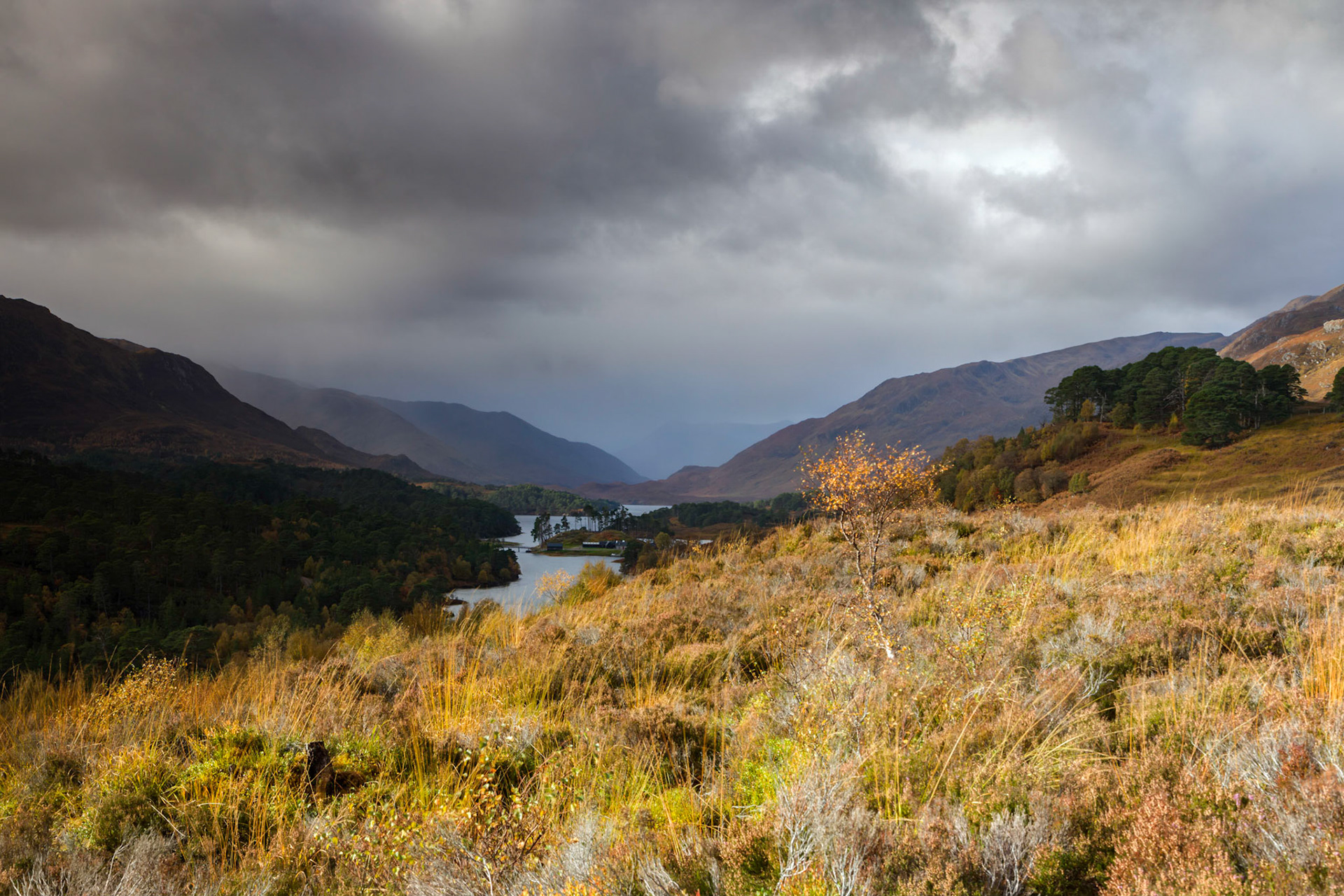 In Glen Affric, a view across the waters of Gargh-uisge to distant Loch Affric. Highlands