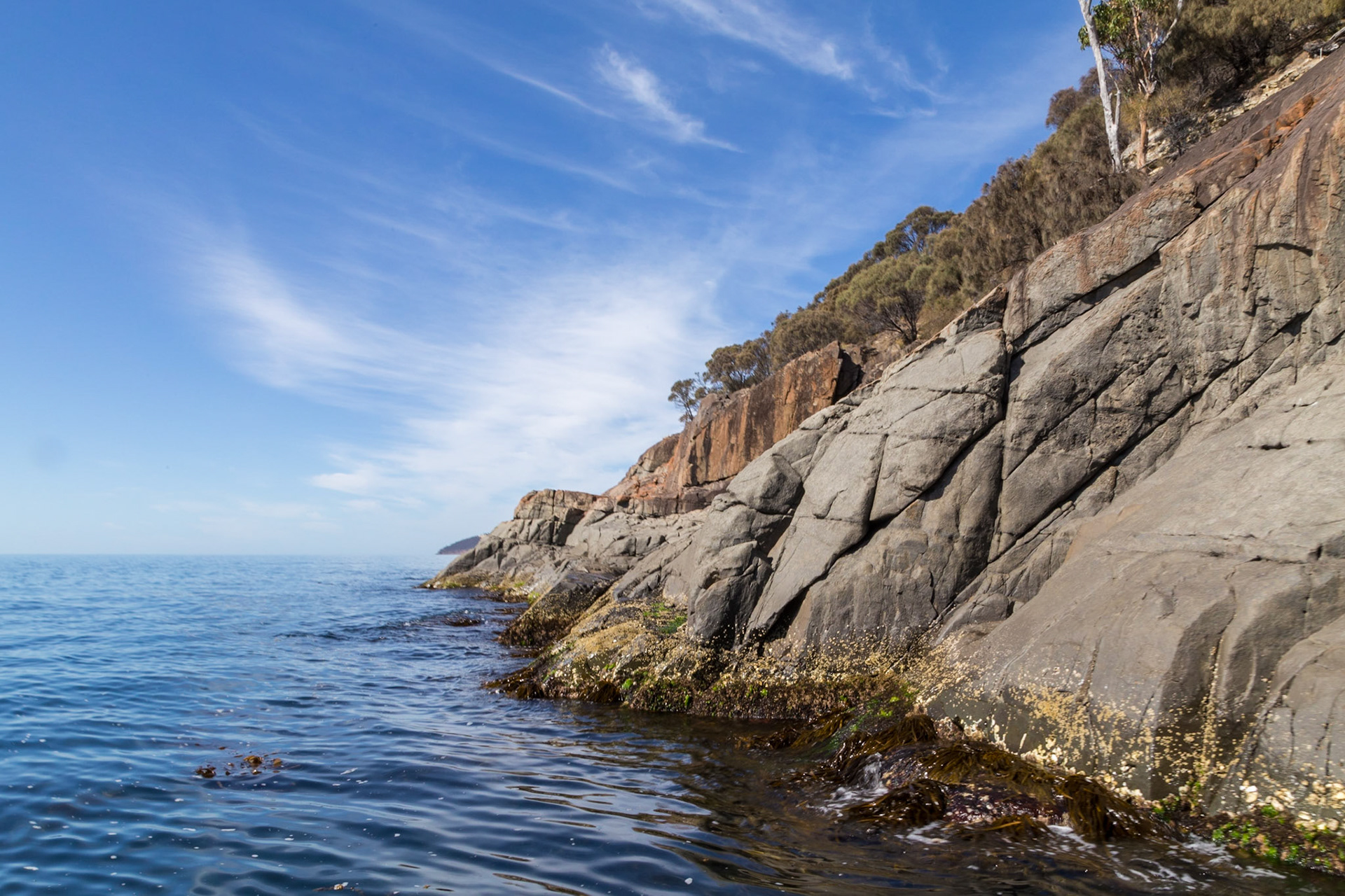 Dolomite rocky edge.to River Derwent. Coloured by a lichen and fungus growth