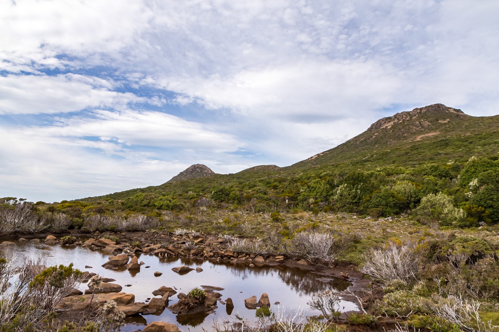Hartz Mountains National Park