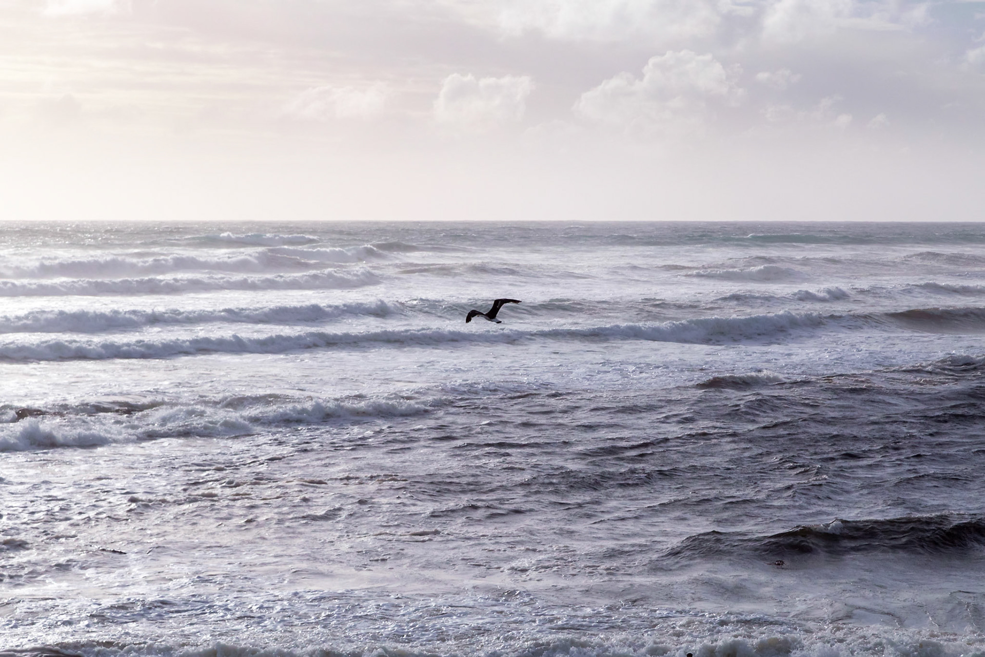 At the Edge of the World; Arthur River.
