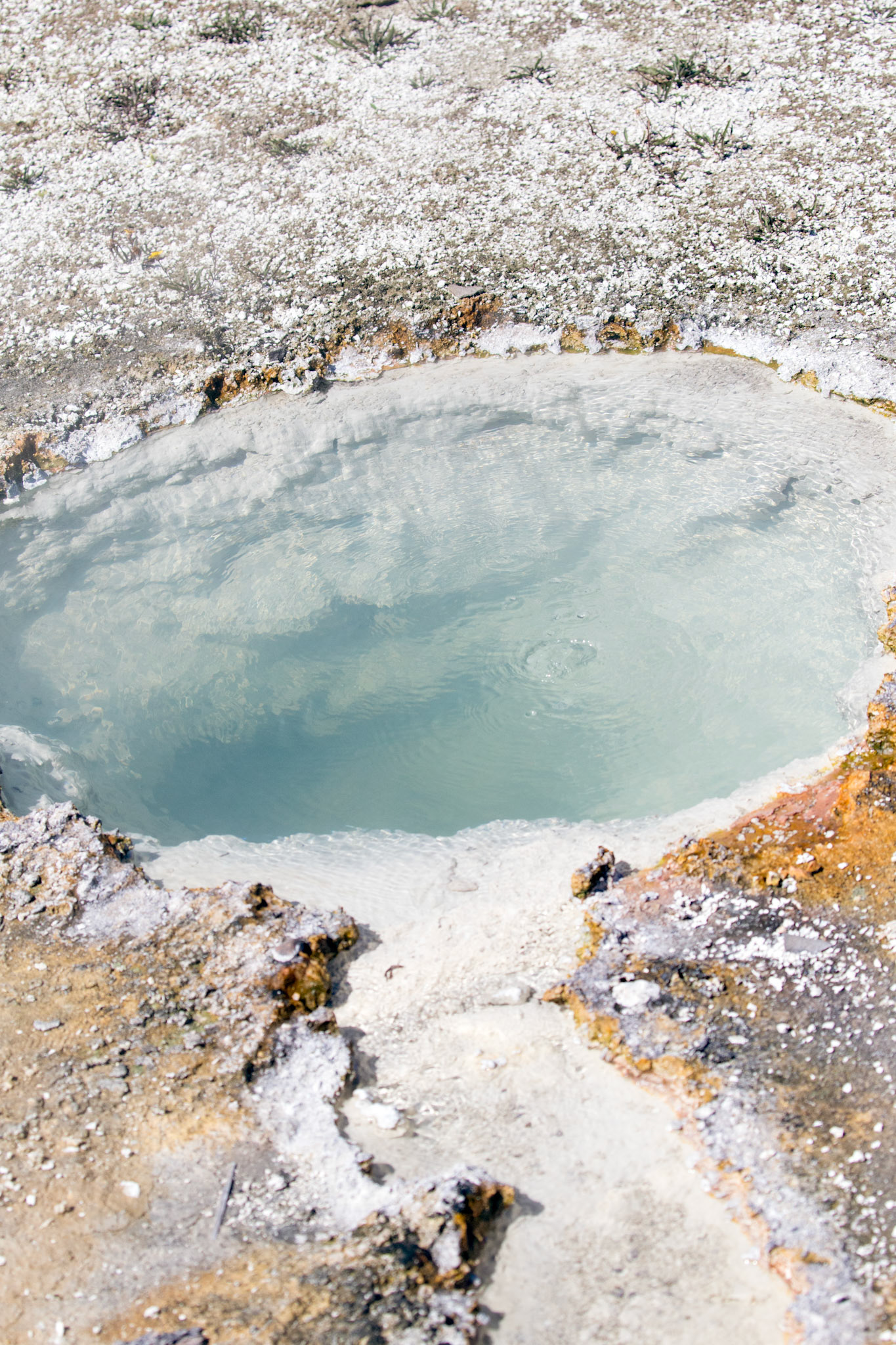 West Thumb Geyser Basin, Yellowstone National Park, Wyoming.