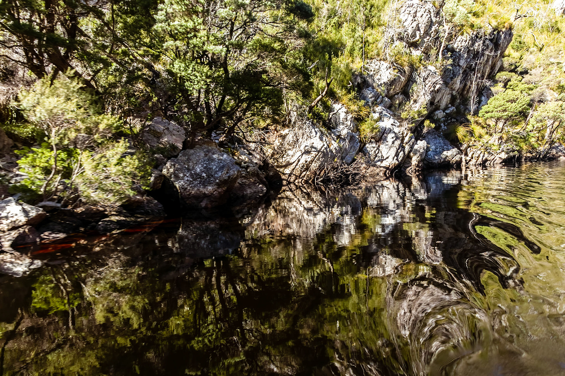 In the Davey River Gorge.