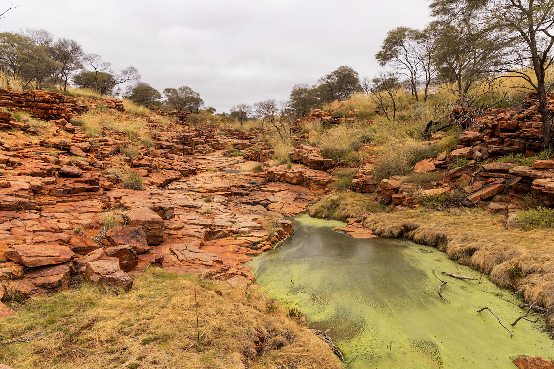 Munderri Outstation surrounds, Day 9