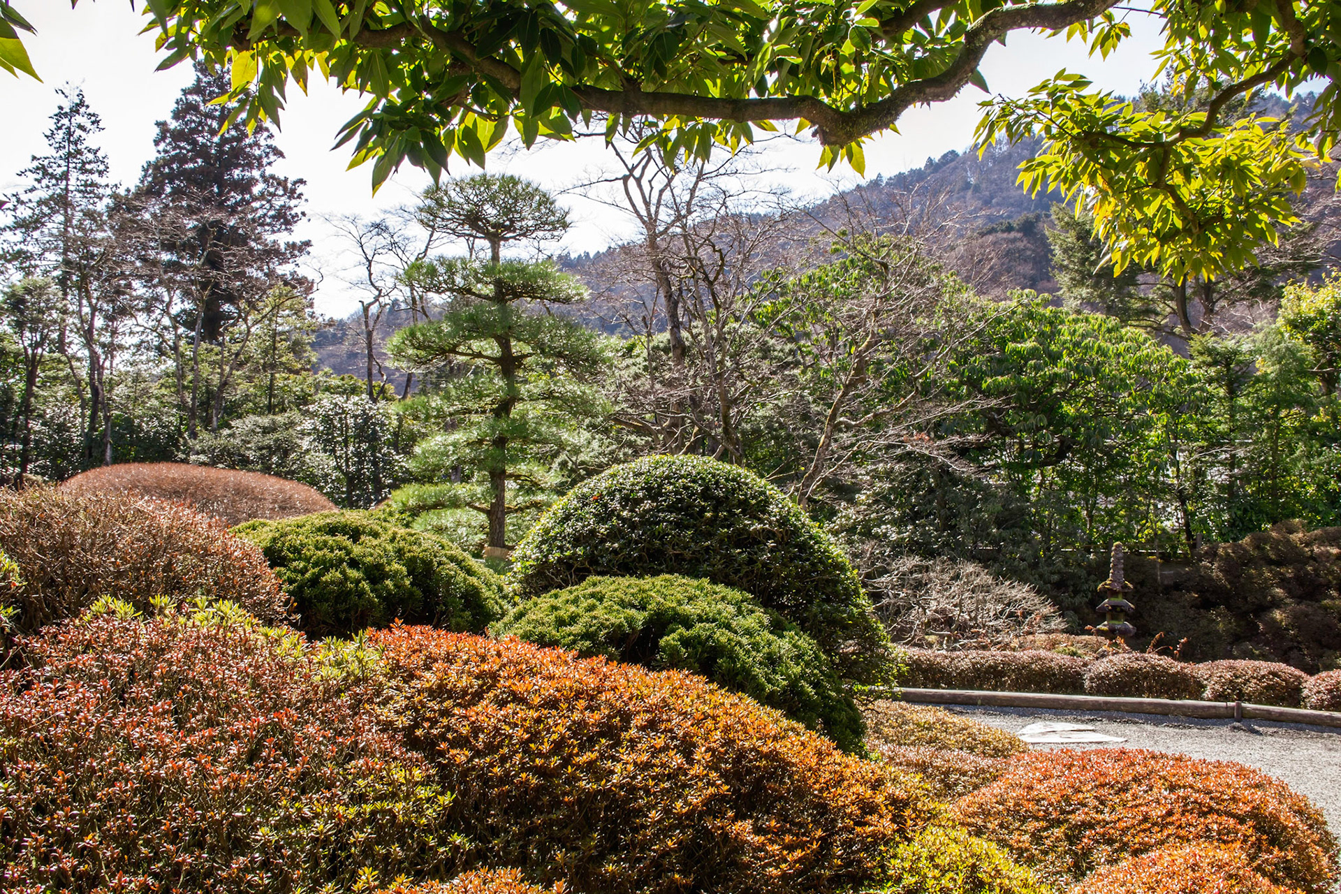 Shoyo-en Garden