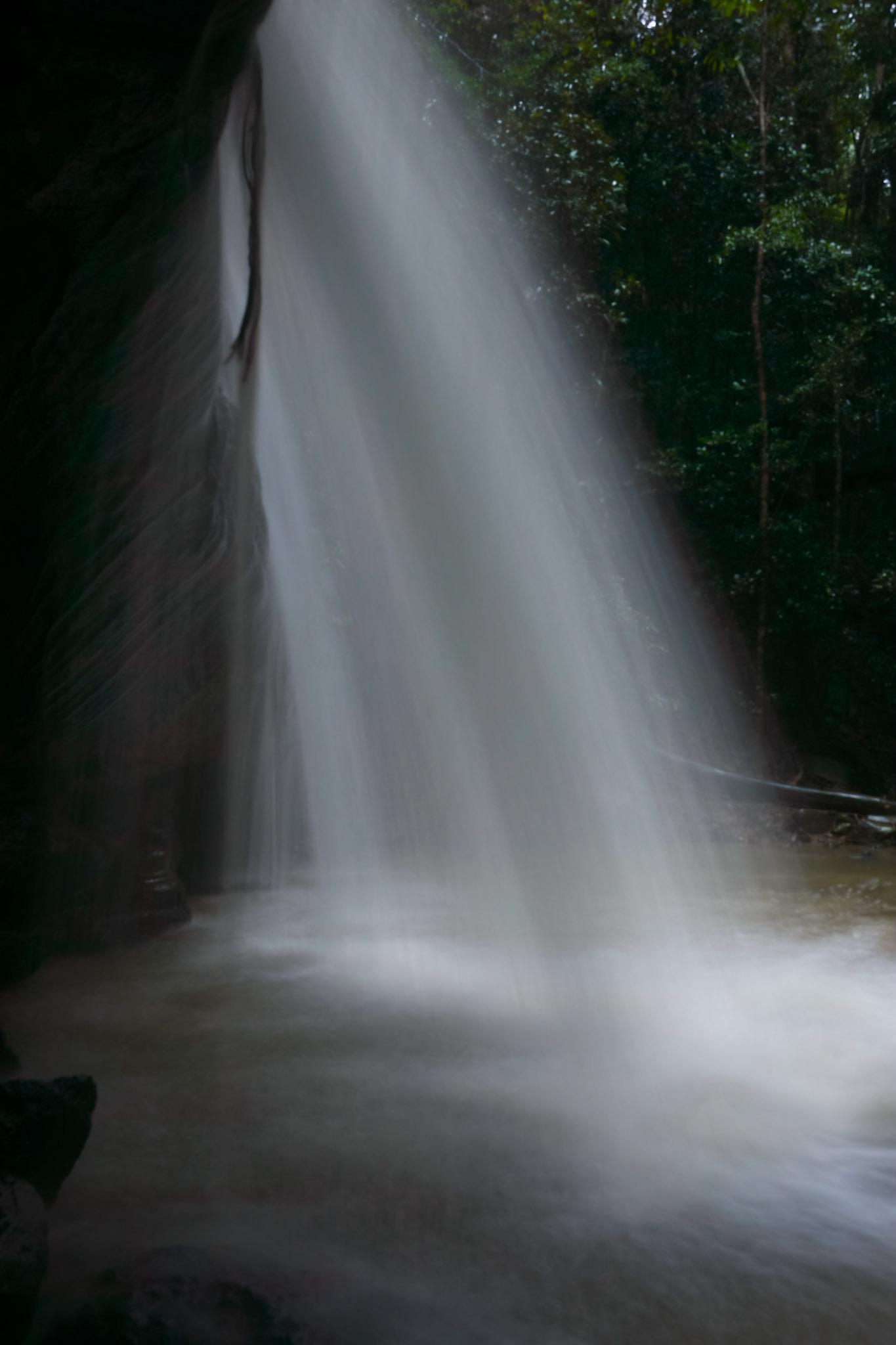 Buderim (Serenity) Falls