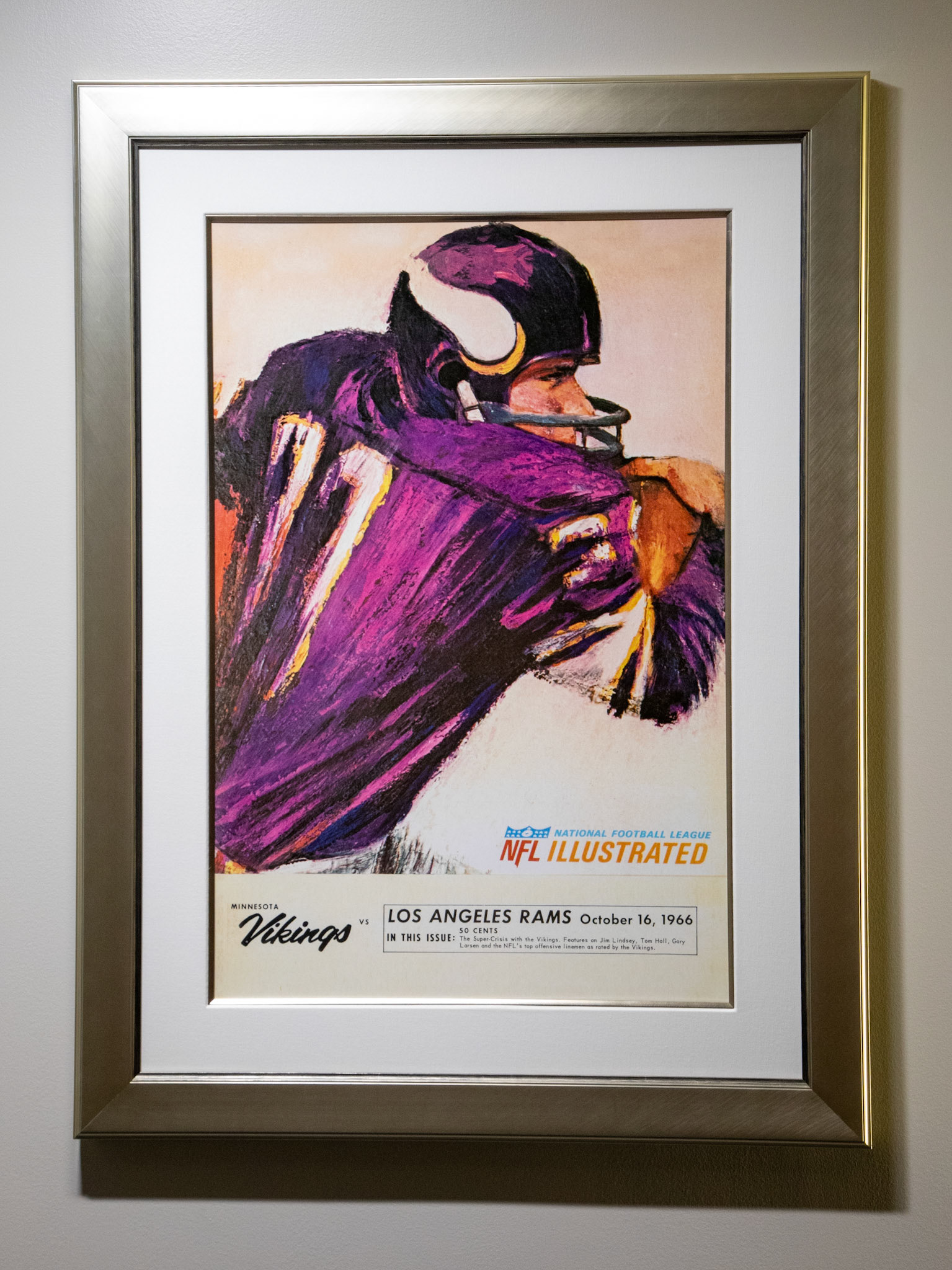 Home of the Minneapolis Vikings