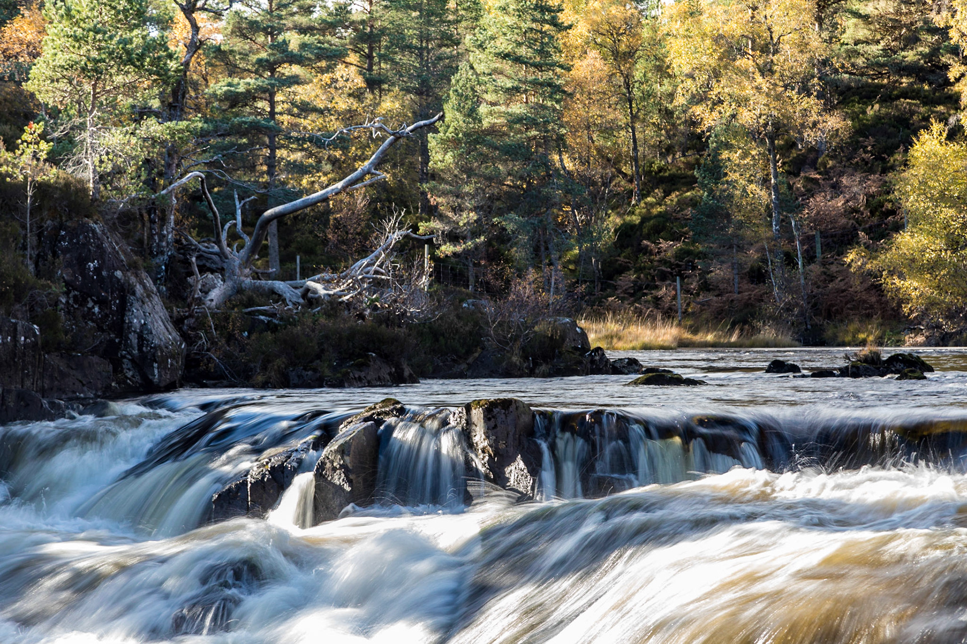 River Affric in Glen Affric, Highlands