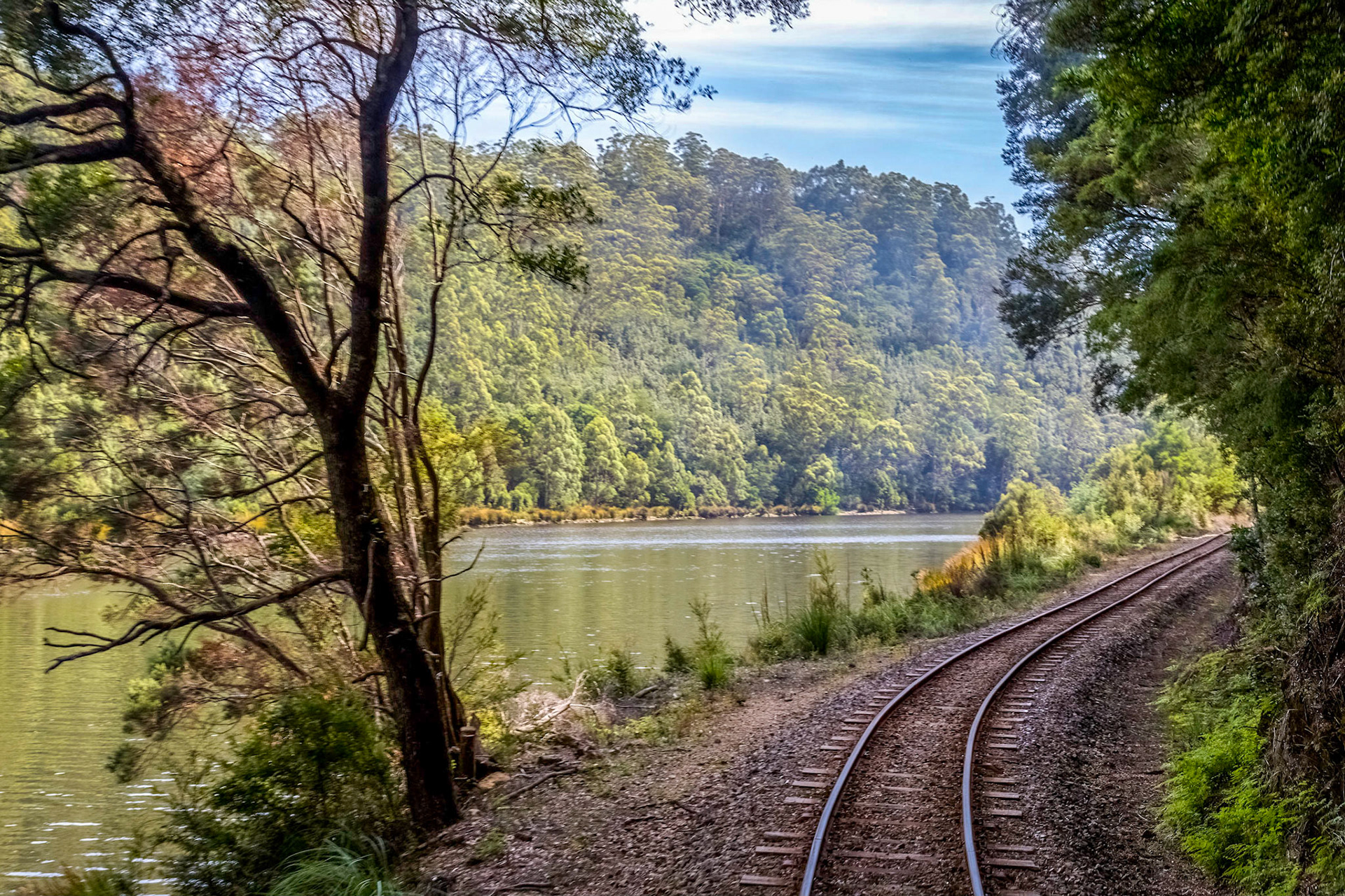 West Coast Wilderness Railway, along the King River valley.