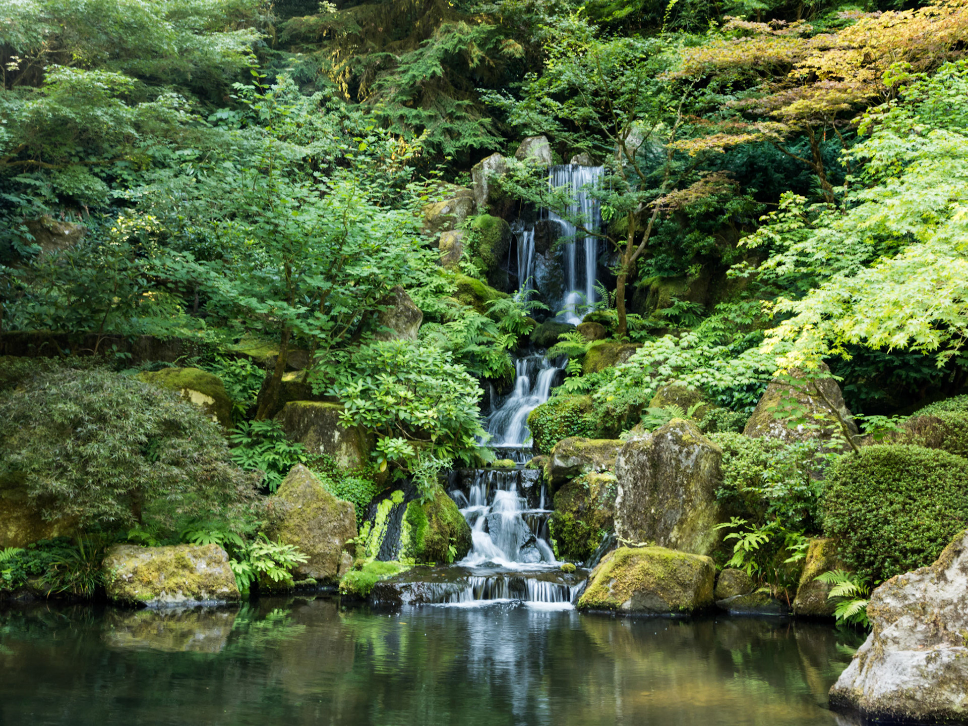 In the Portland Japanese Garden