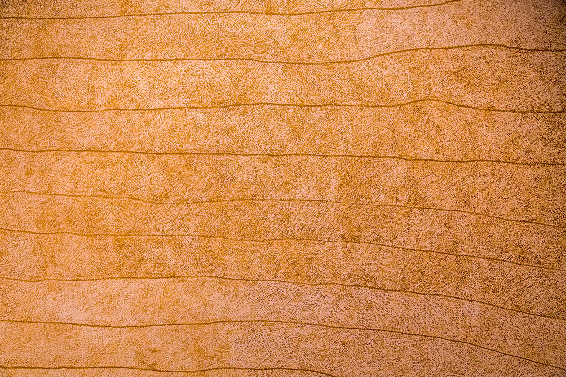 My Country - Sandhills afer a hailstorm), Australia 2002(Kathleen Petyarr)